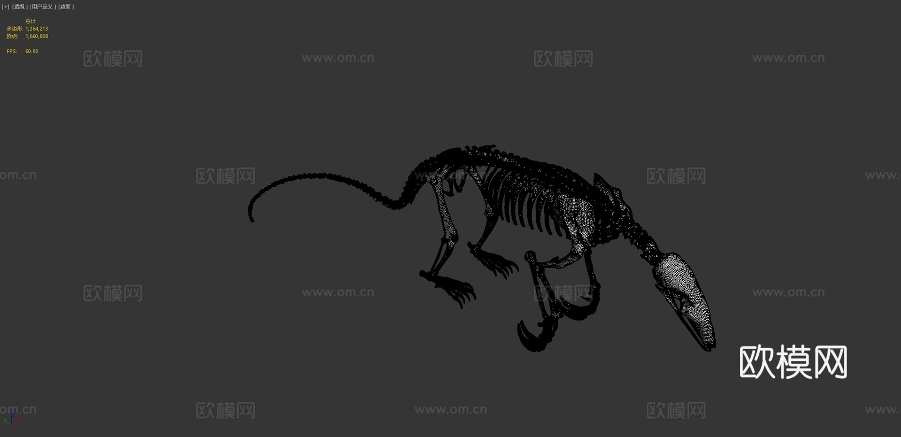 IMNH R-997食蚁兽3d模型