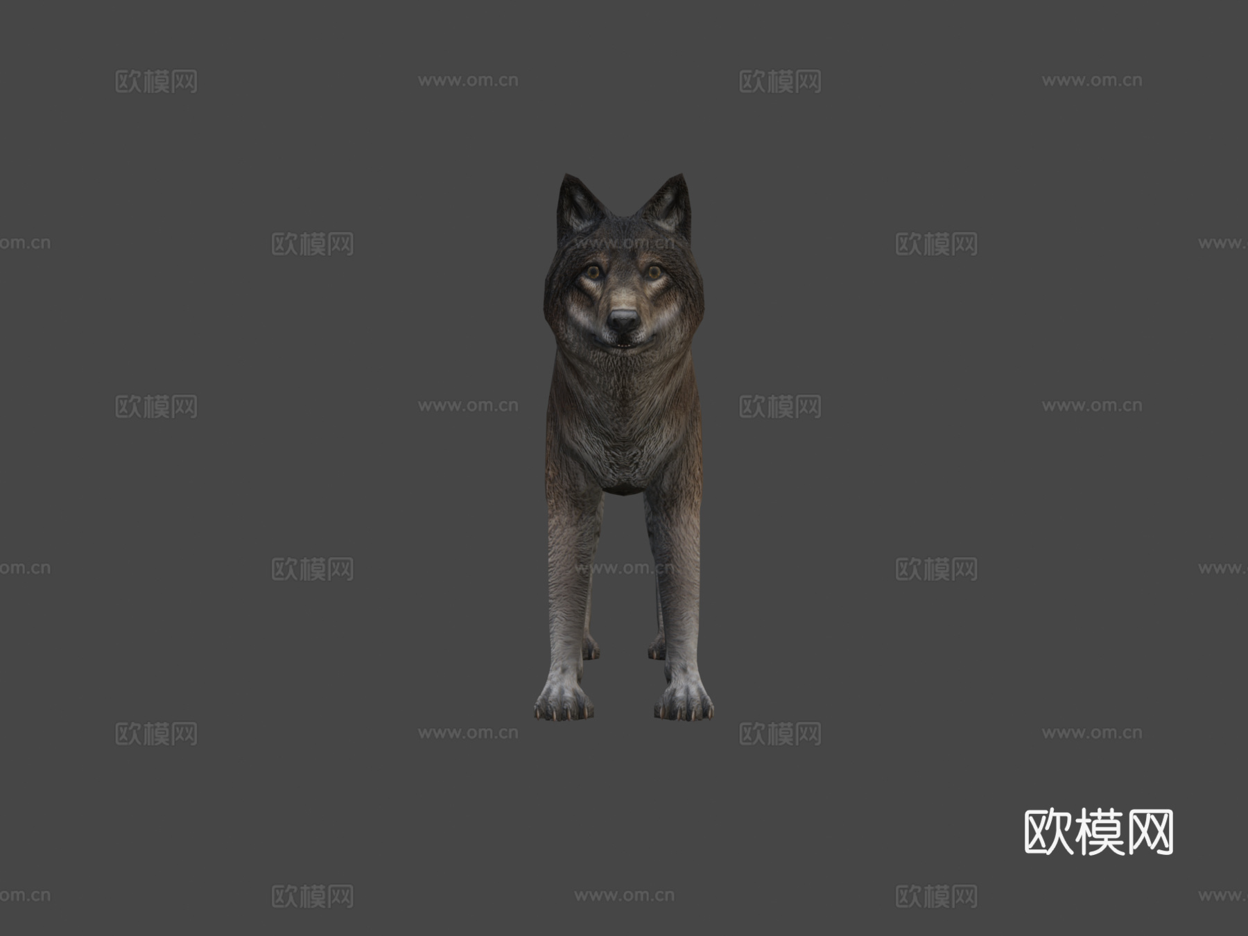 巨狼动画3d模型
