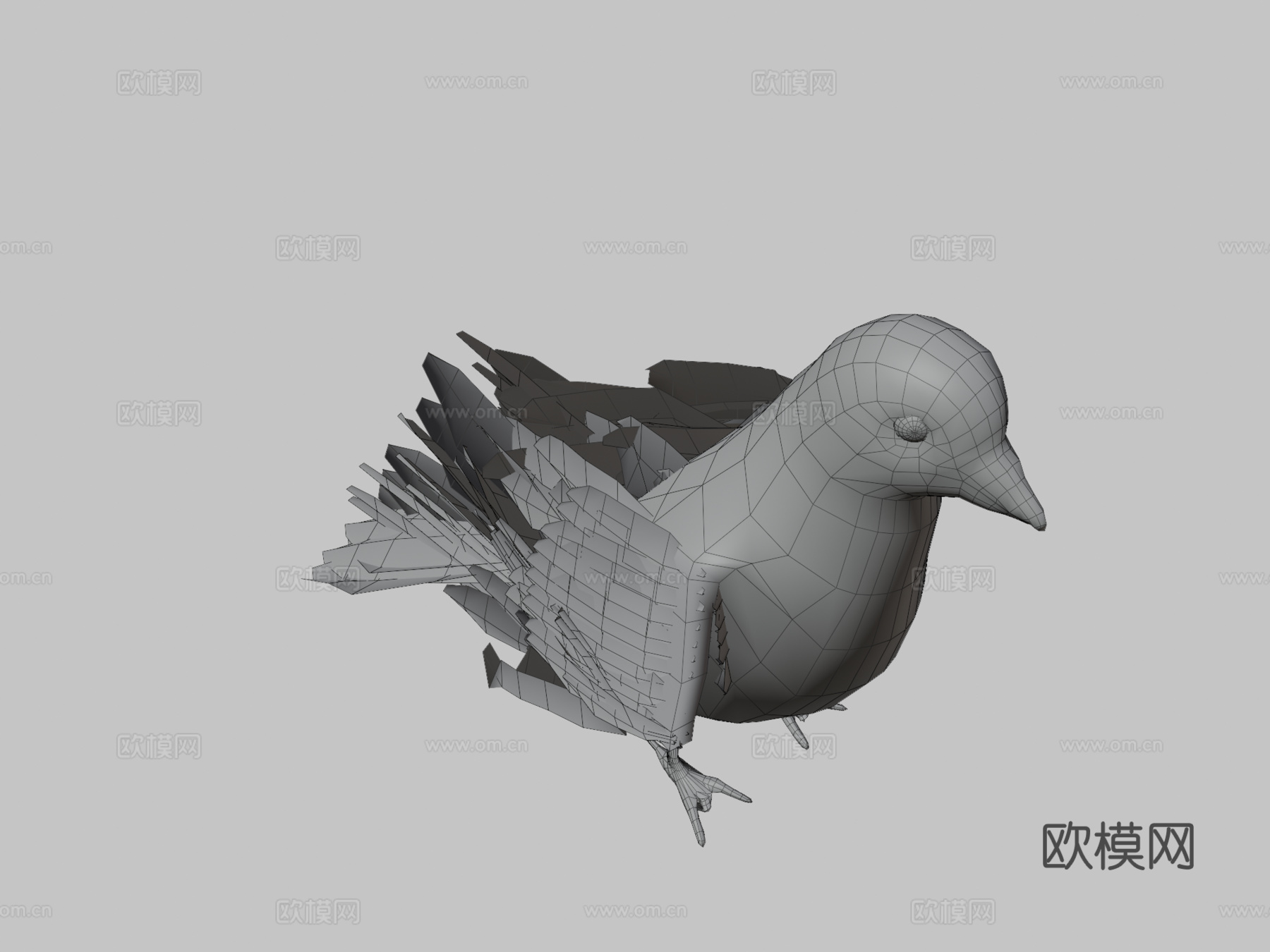 鸽子3d模型