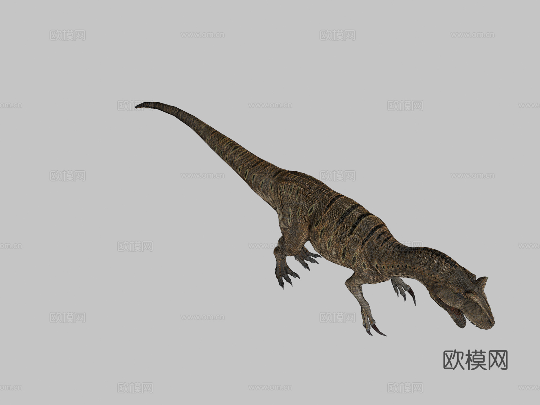 脆弱异特龙3d模型