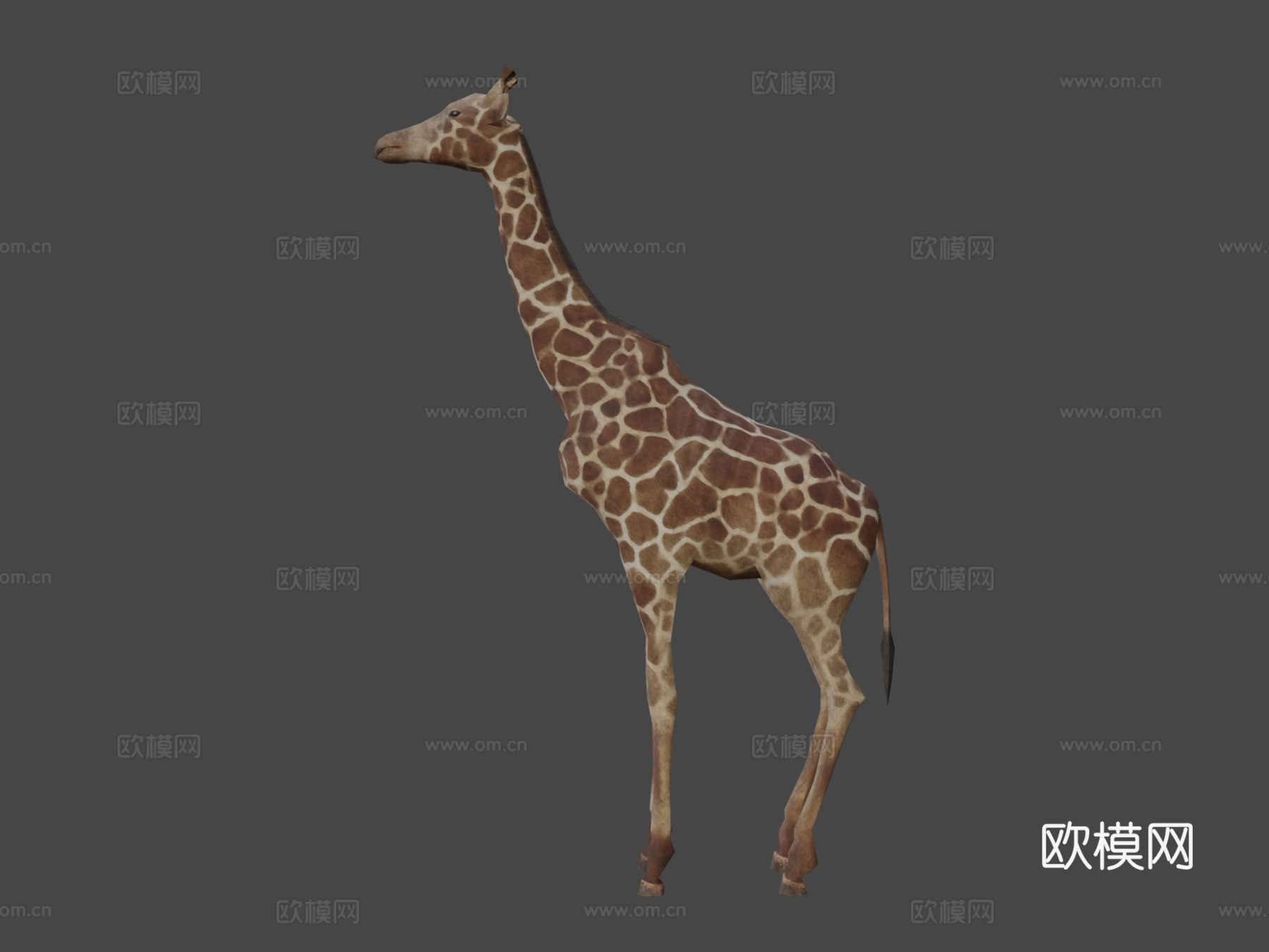 DRT-野生动物-长颈鹿3d模型