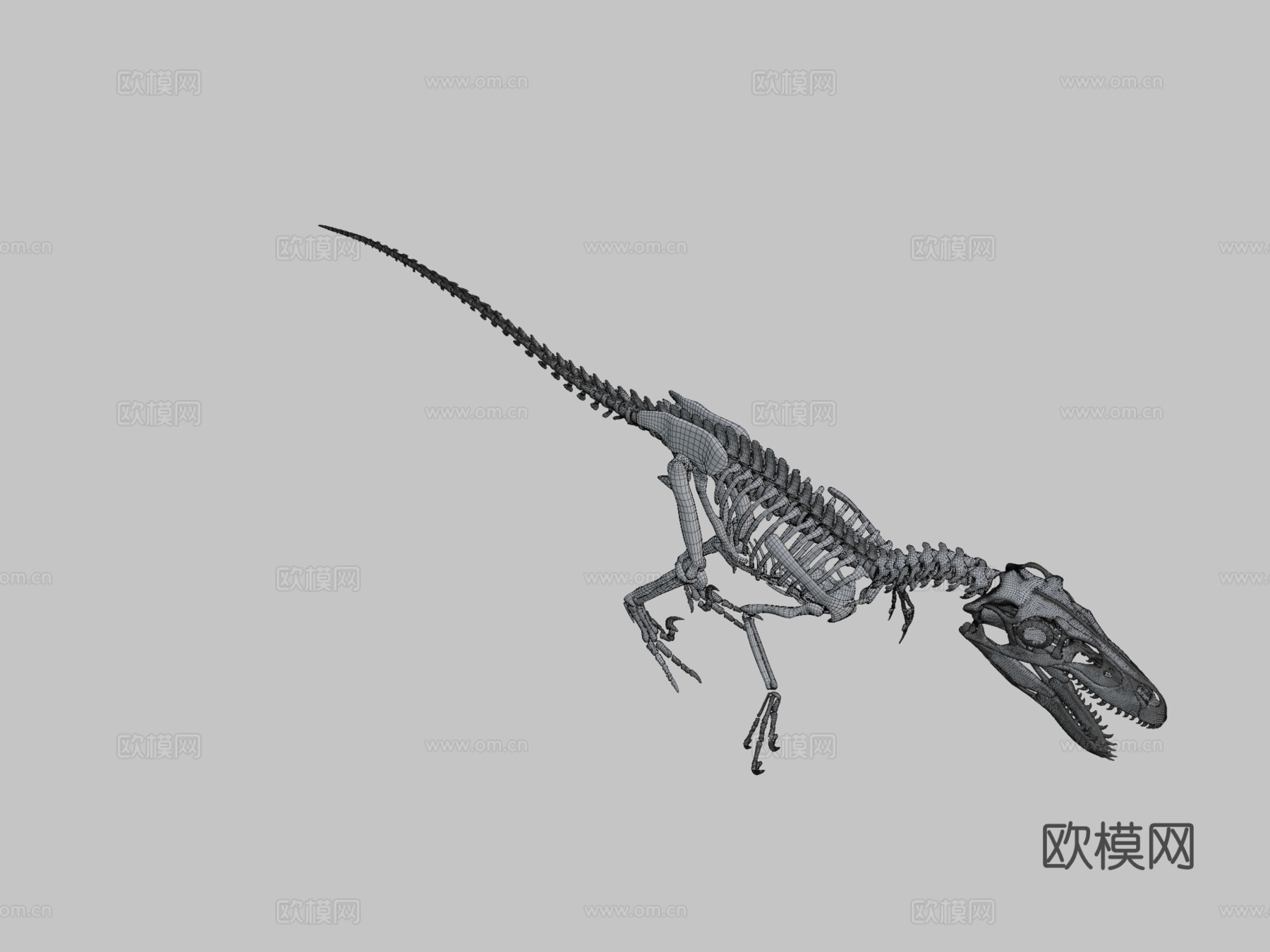 犹他盗龙骨架3d模型