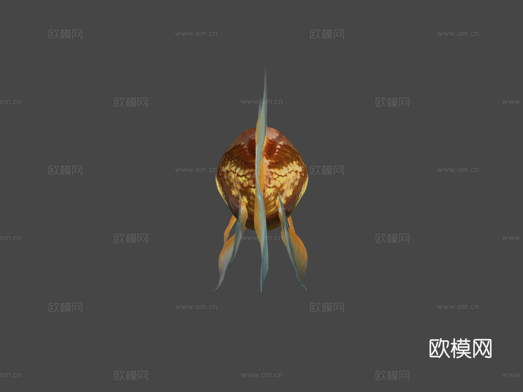 金鱼3d模型