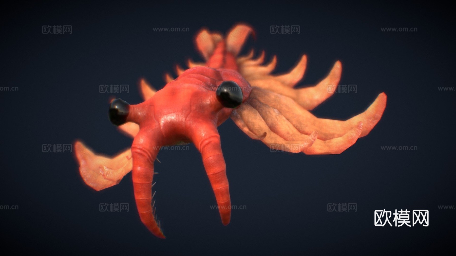 加拿大奇虾3d模型