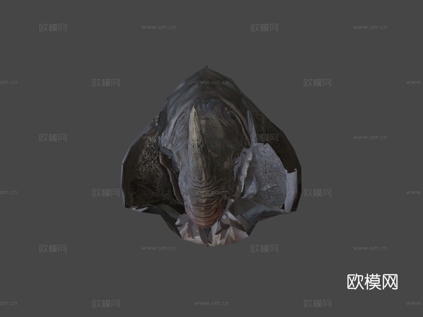 犀牛行走3d模型