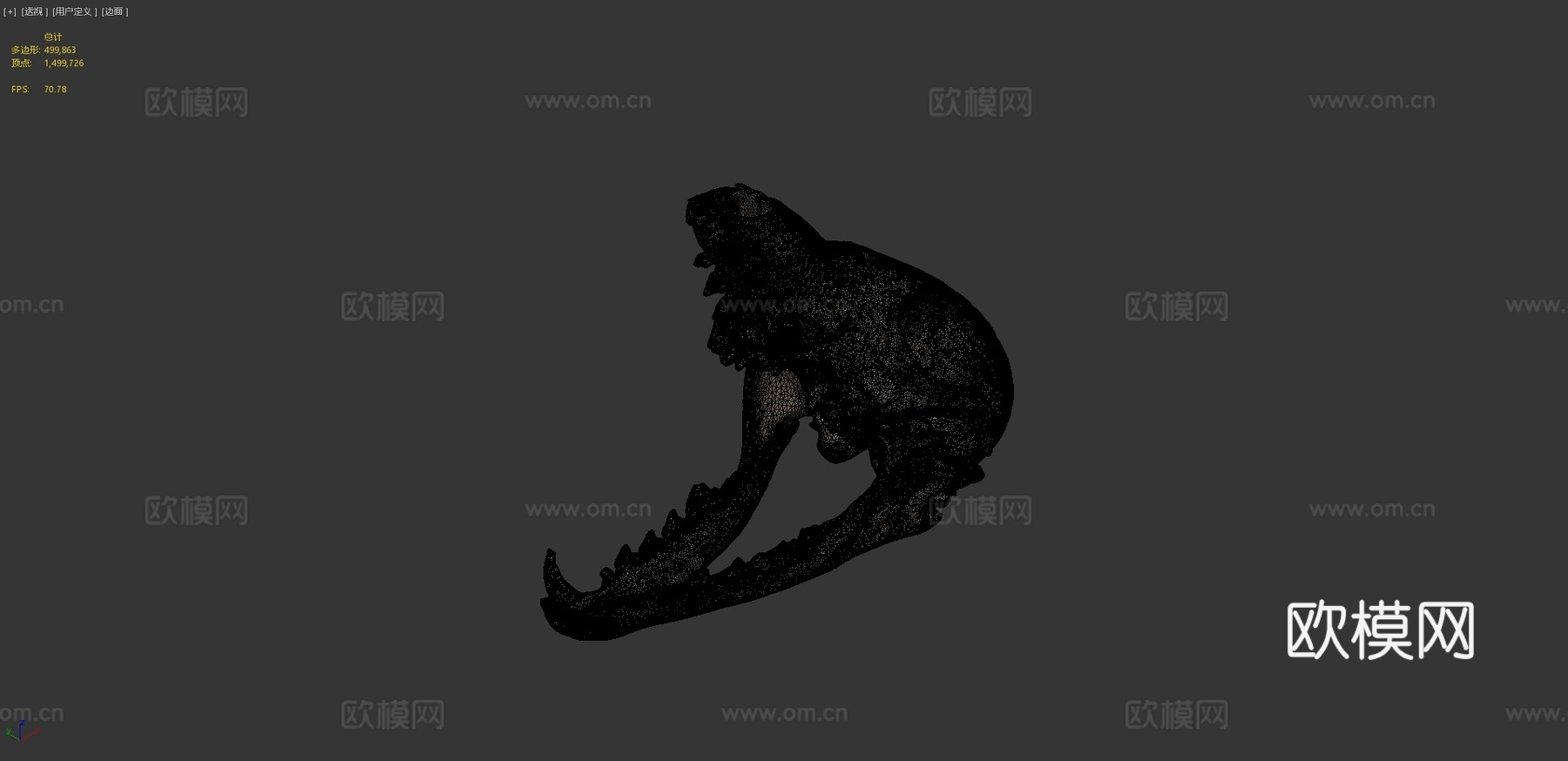 灰狐头骨3d模型