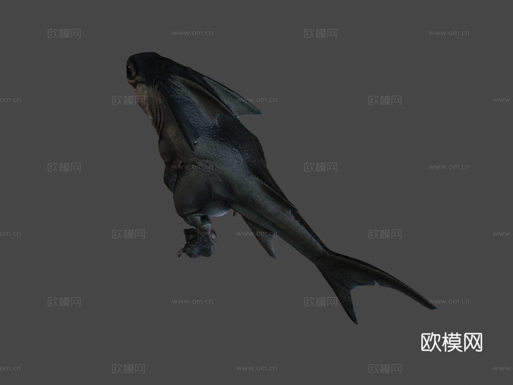 巨齿鲨雷克斯(制作中#3)动画3d模型