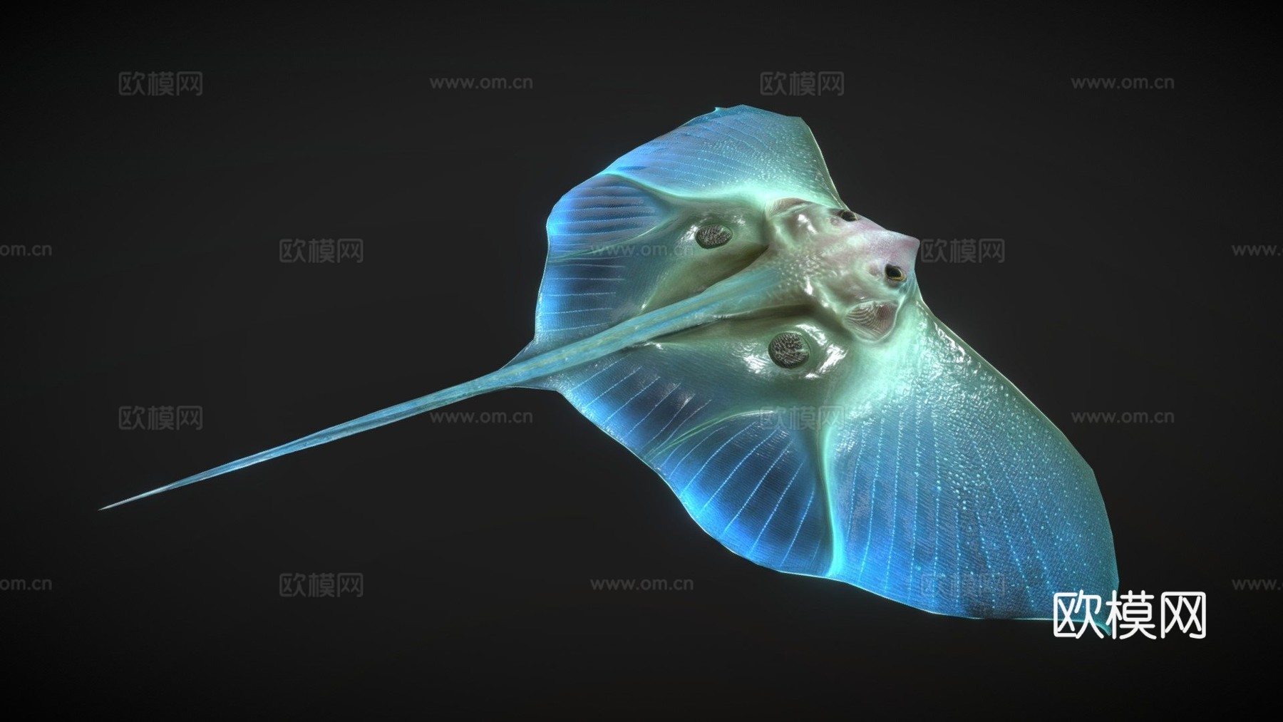 外星幻想鱼-水母鳐-黄貂鱼3d模型
