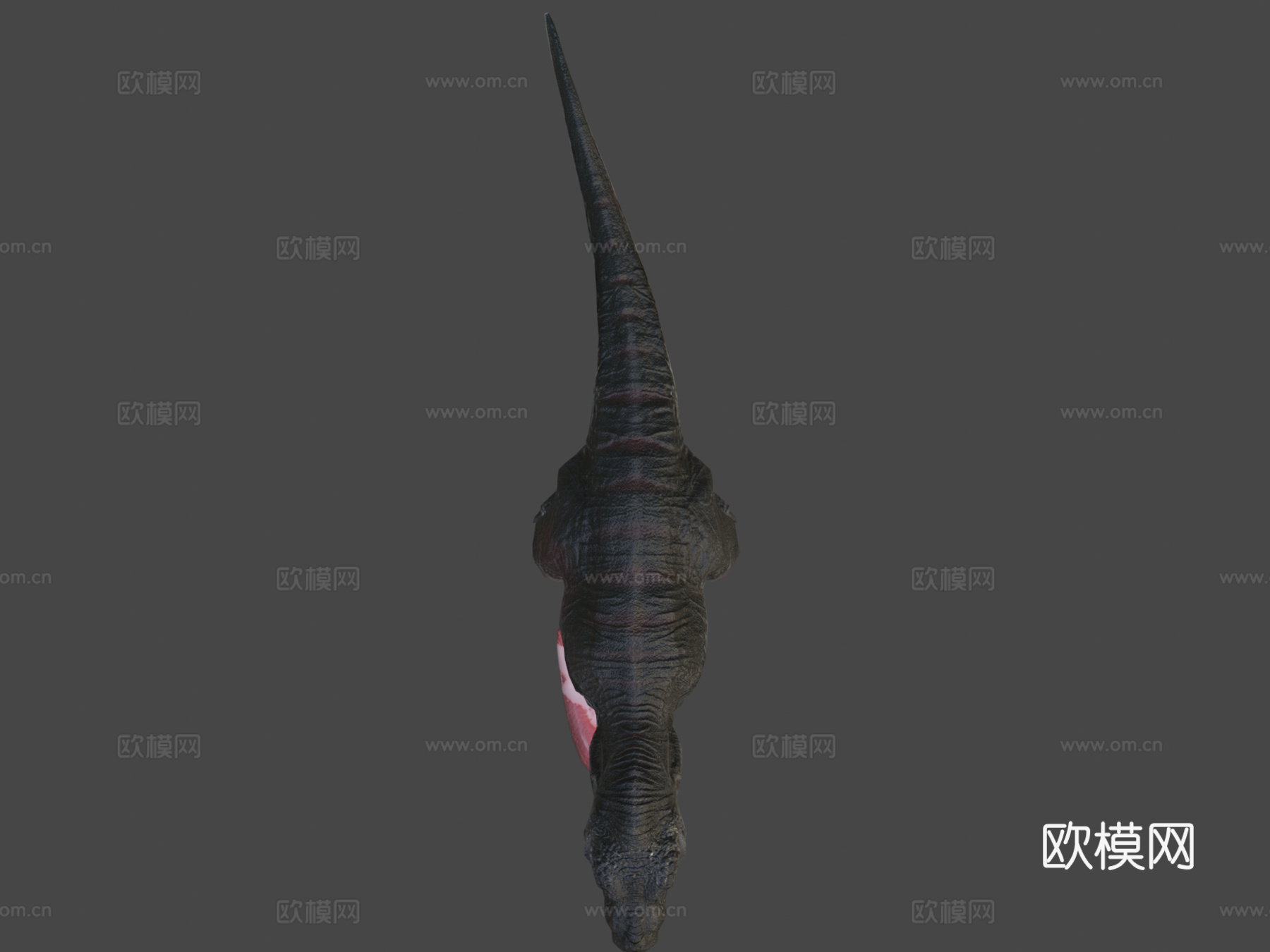低多边形写实恐龙-霸王龙3d模型