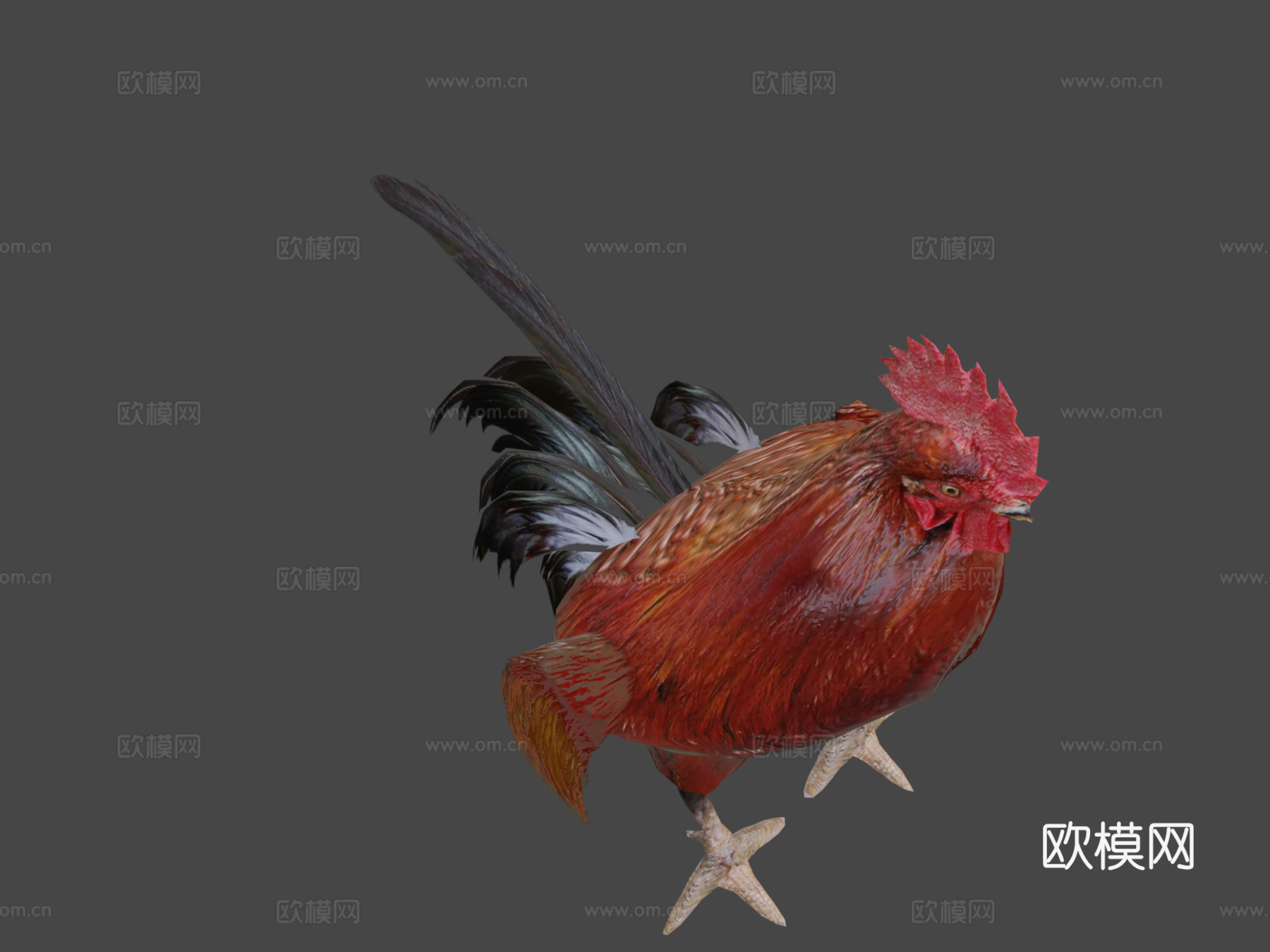 低多边形鸡3d模型