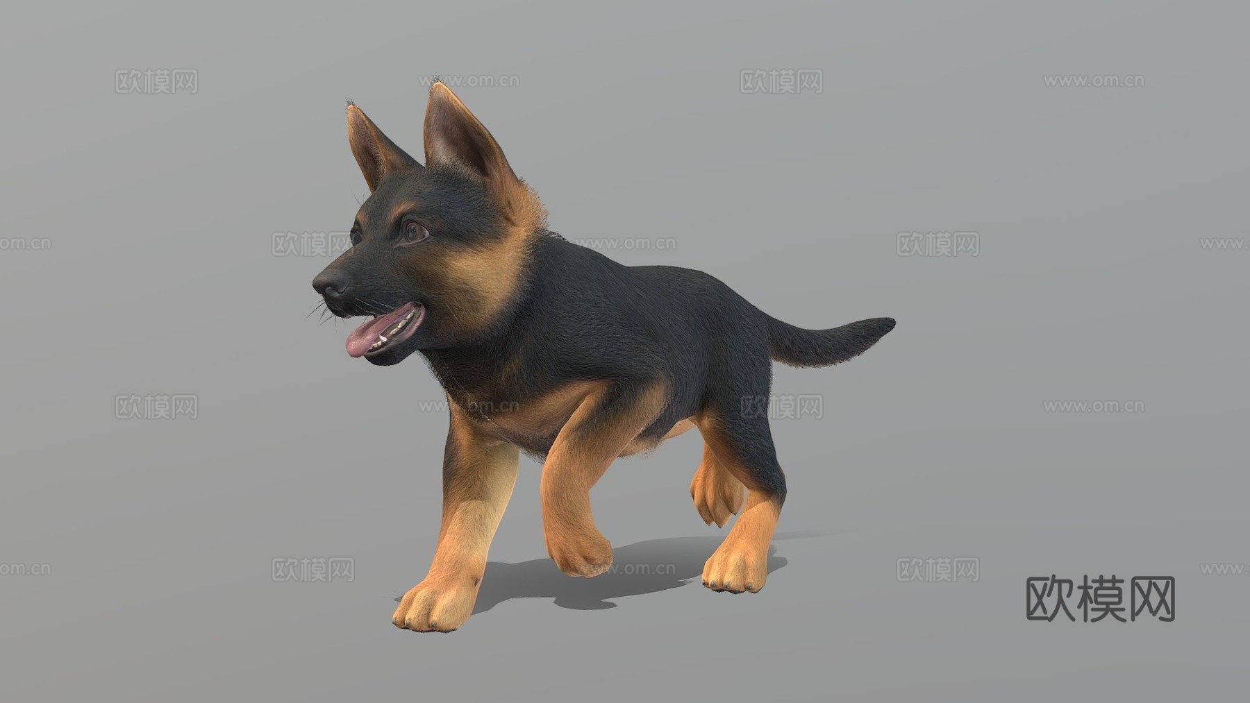 幼犬-牧羊犬3d模型
