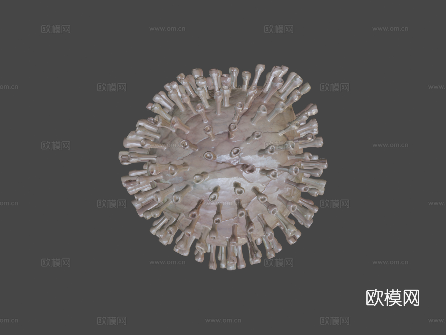 病毒5C动画3d模型