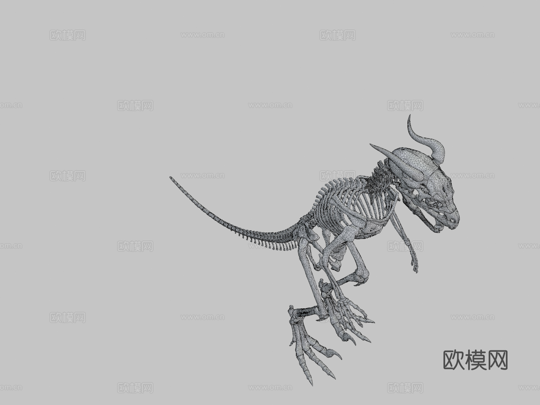 希扎斯里解剖参考-骨骼3d模型