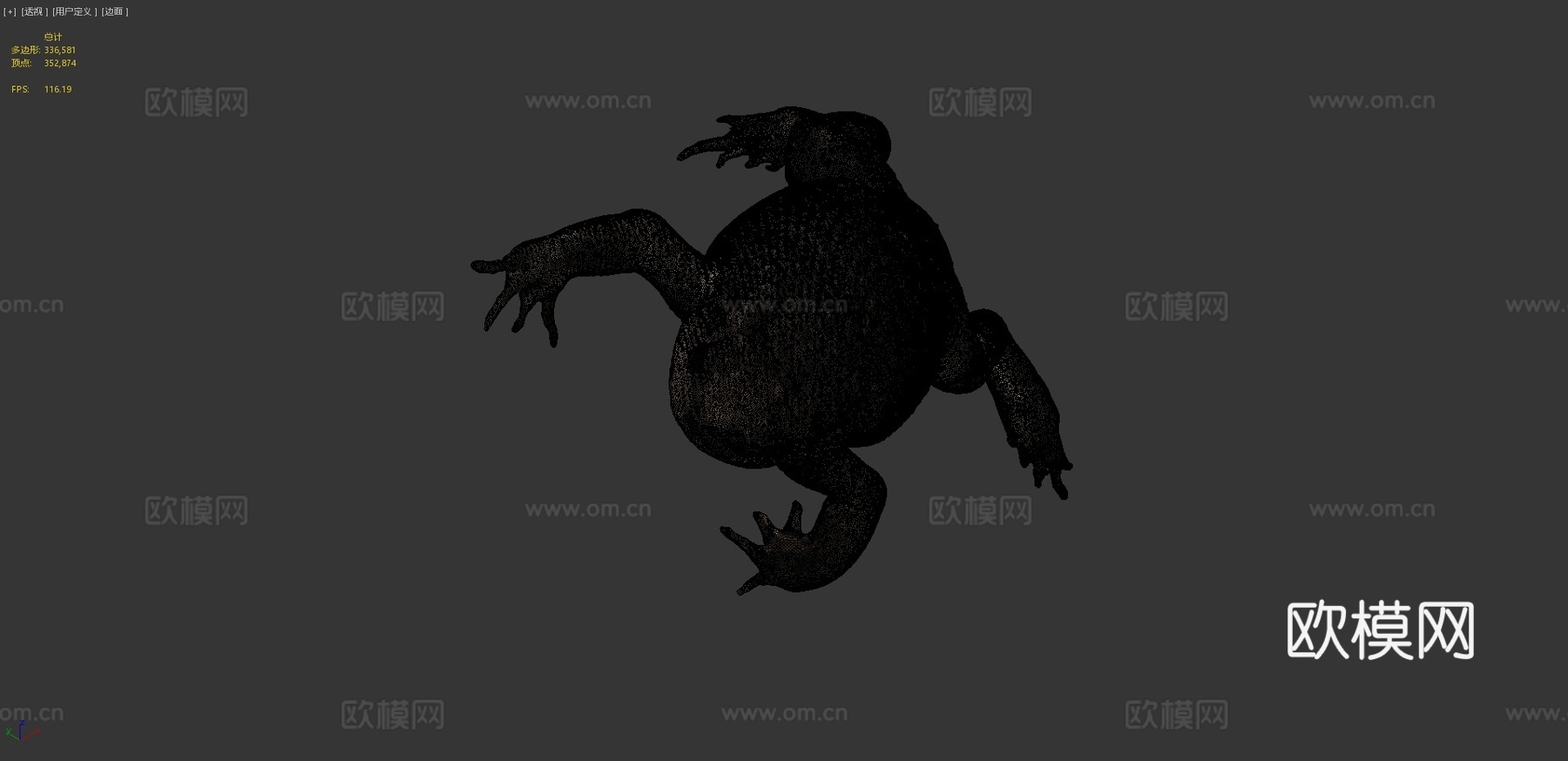 大型雌性甘蔗蟾蜍3d模型