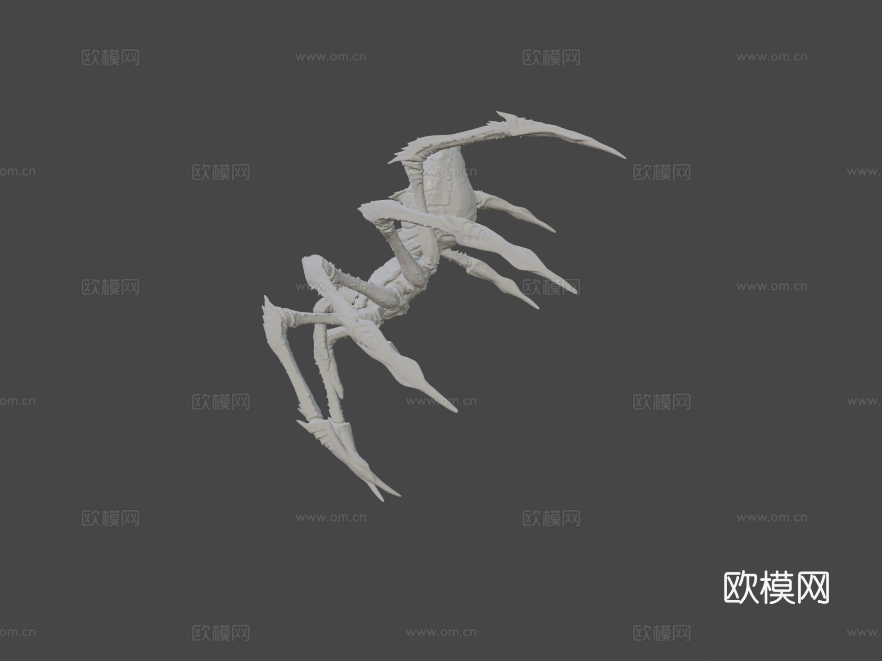 歌利亚猎人蛛3d模型