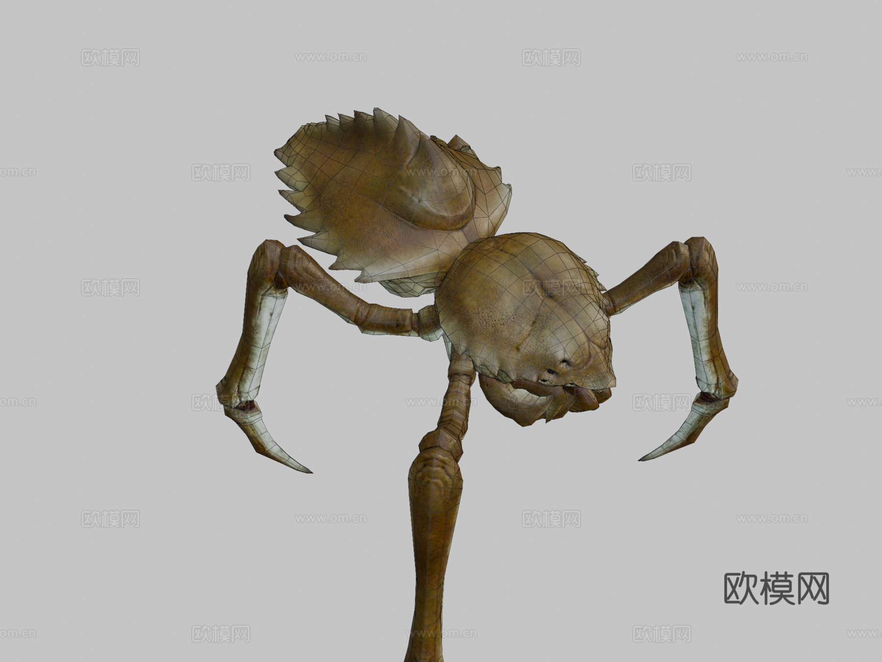 ARACK动画3d模型