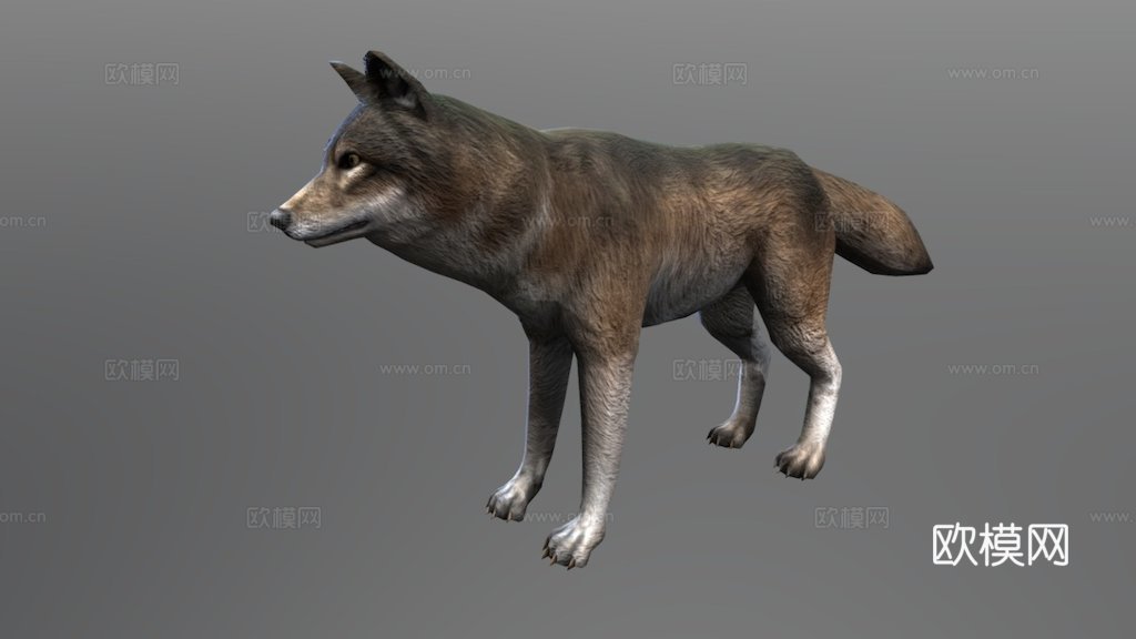 巨狼动画3d模型