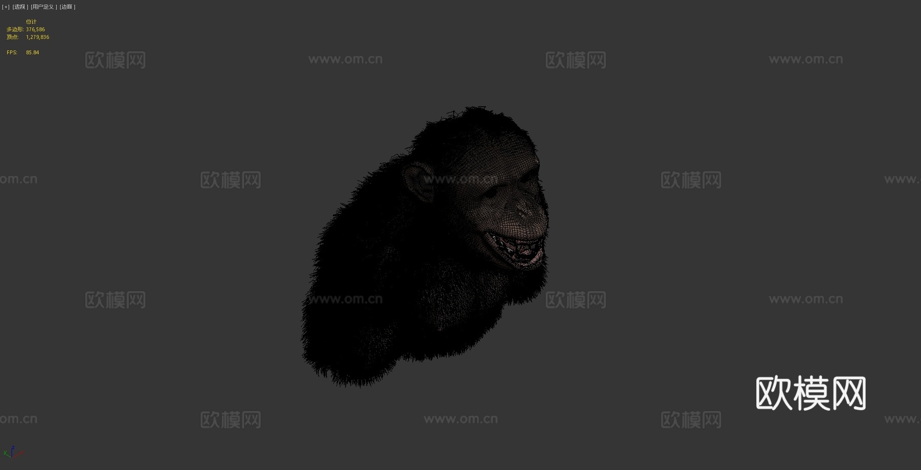 黑猩猩3d模型