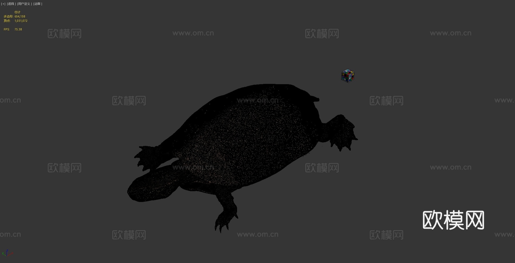 CC0杂交龟［日本石龟与草龟混种］♂3d模型