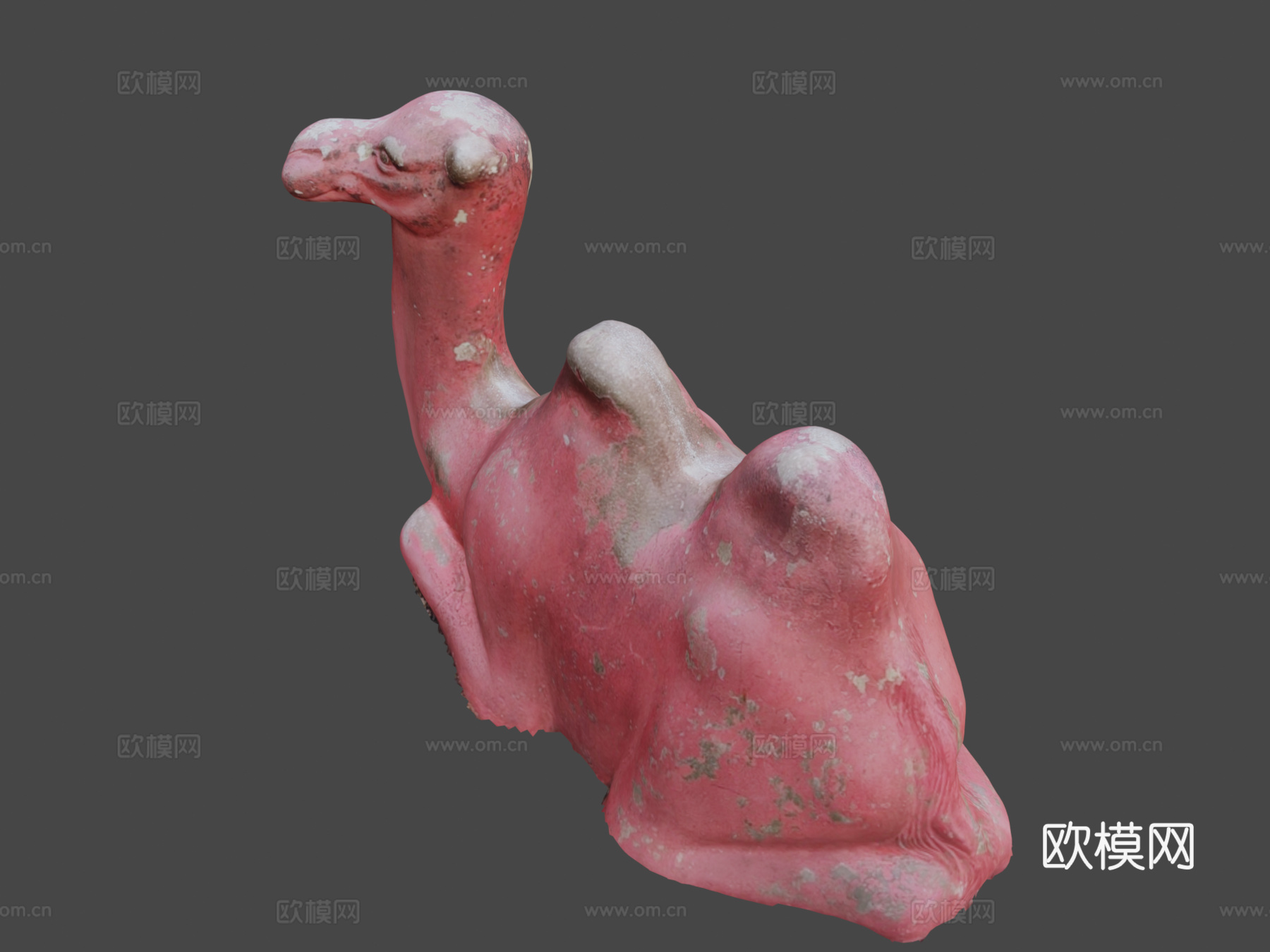 第16天-埃德蒙游乐场骆驼3d模型