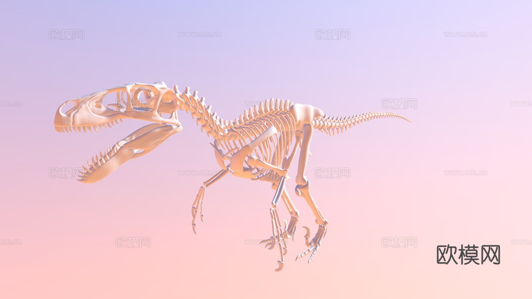 犹他盗龙骨架3d模型
