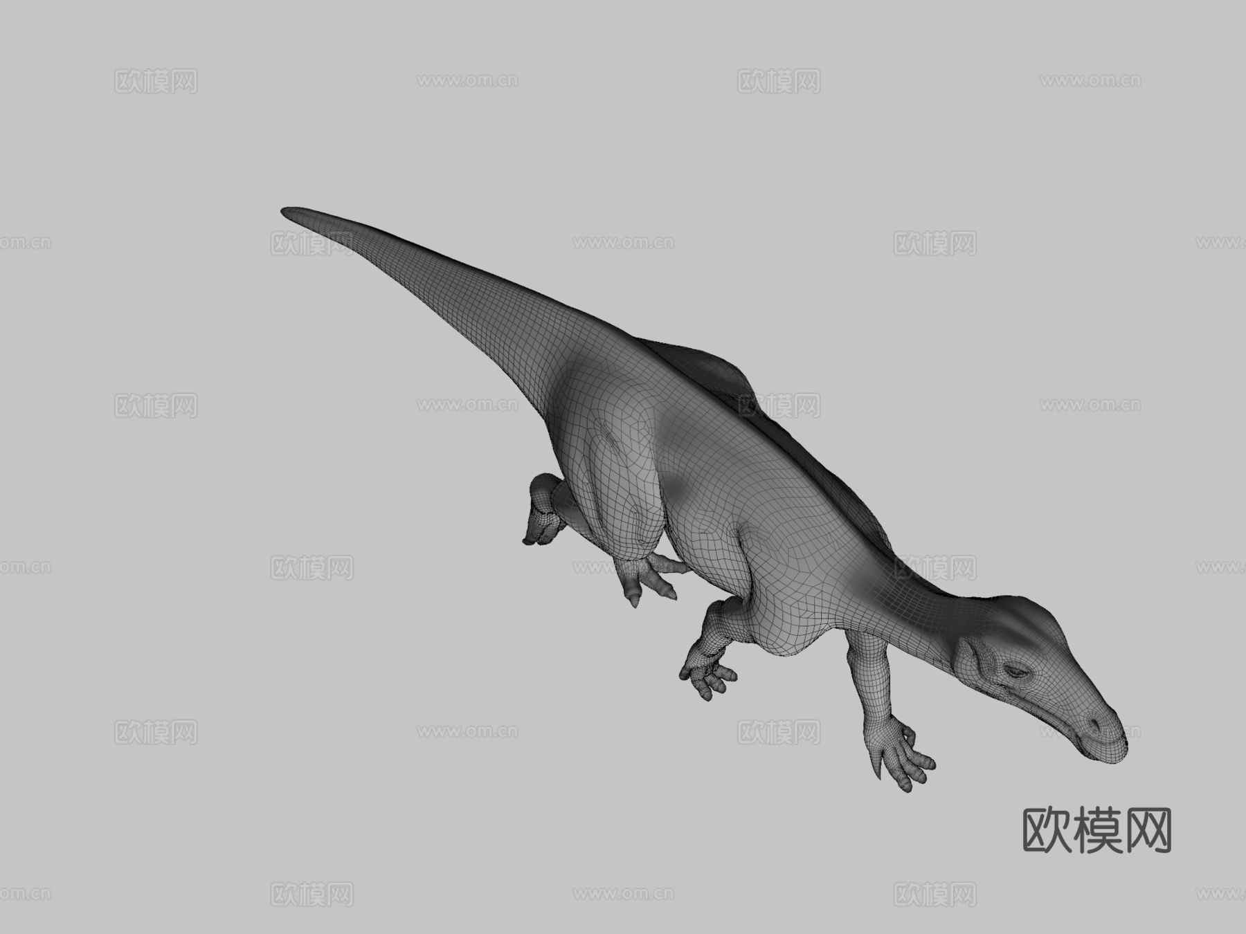 贝尔尼萨特禽龙3d模型