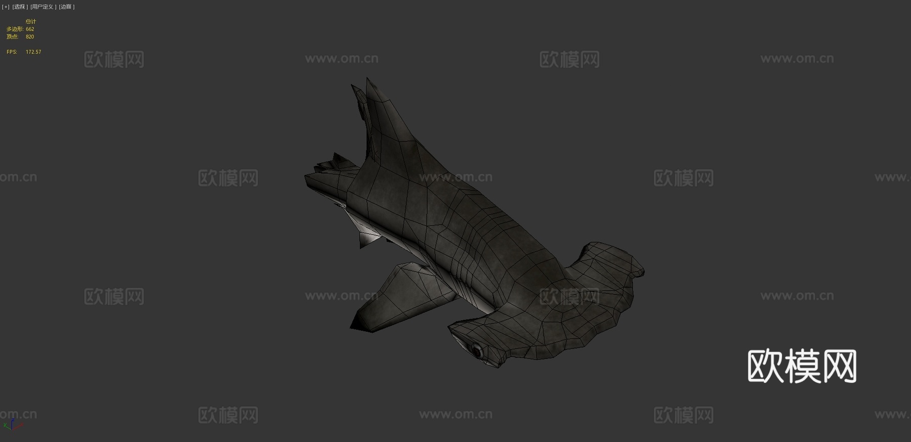 幼年扇形双髻鲨3d模型