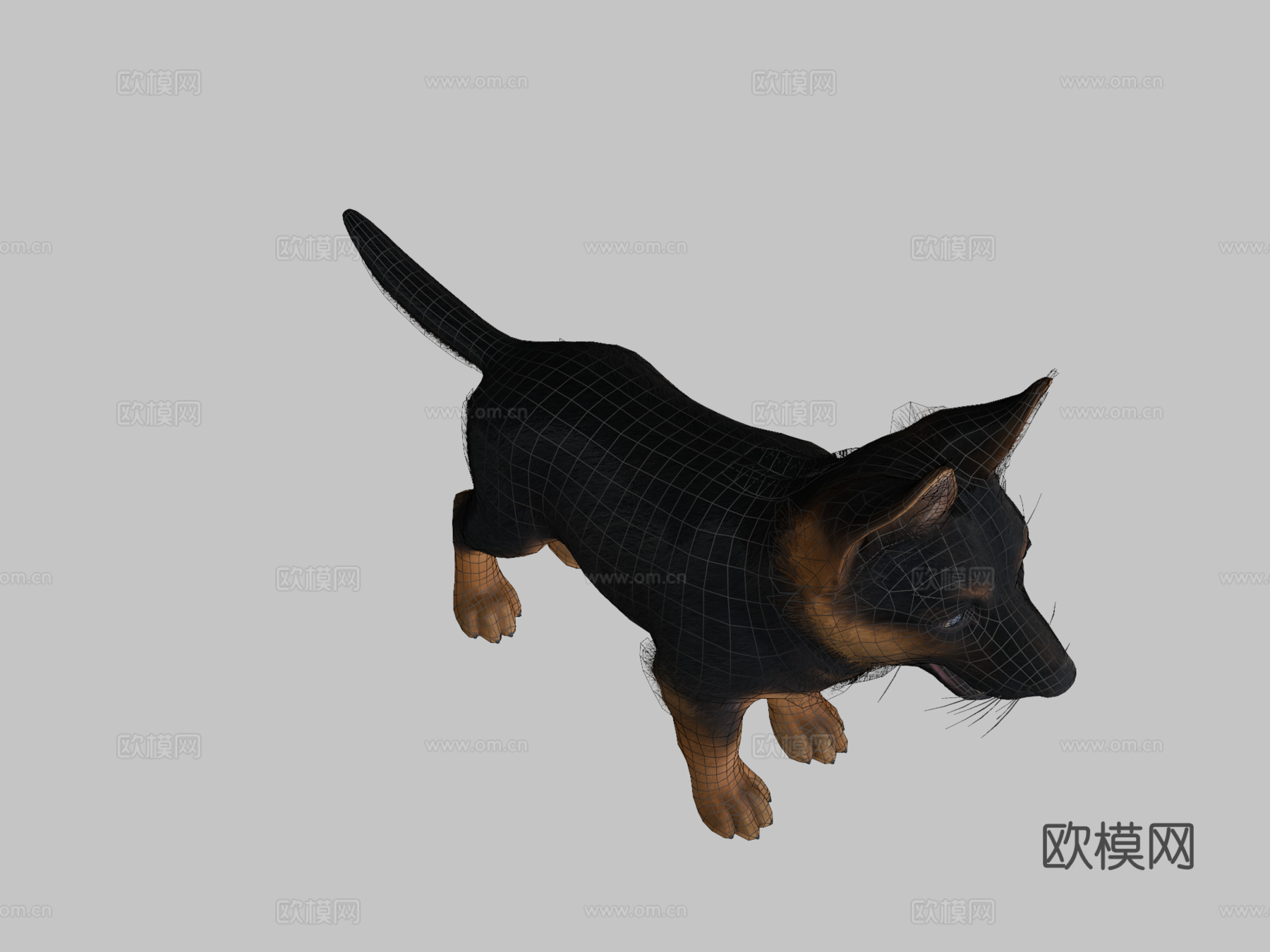 幼犬-牧羊犬3d模型