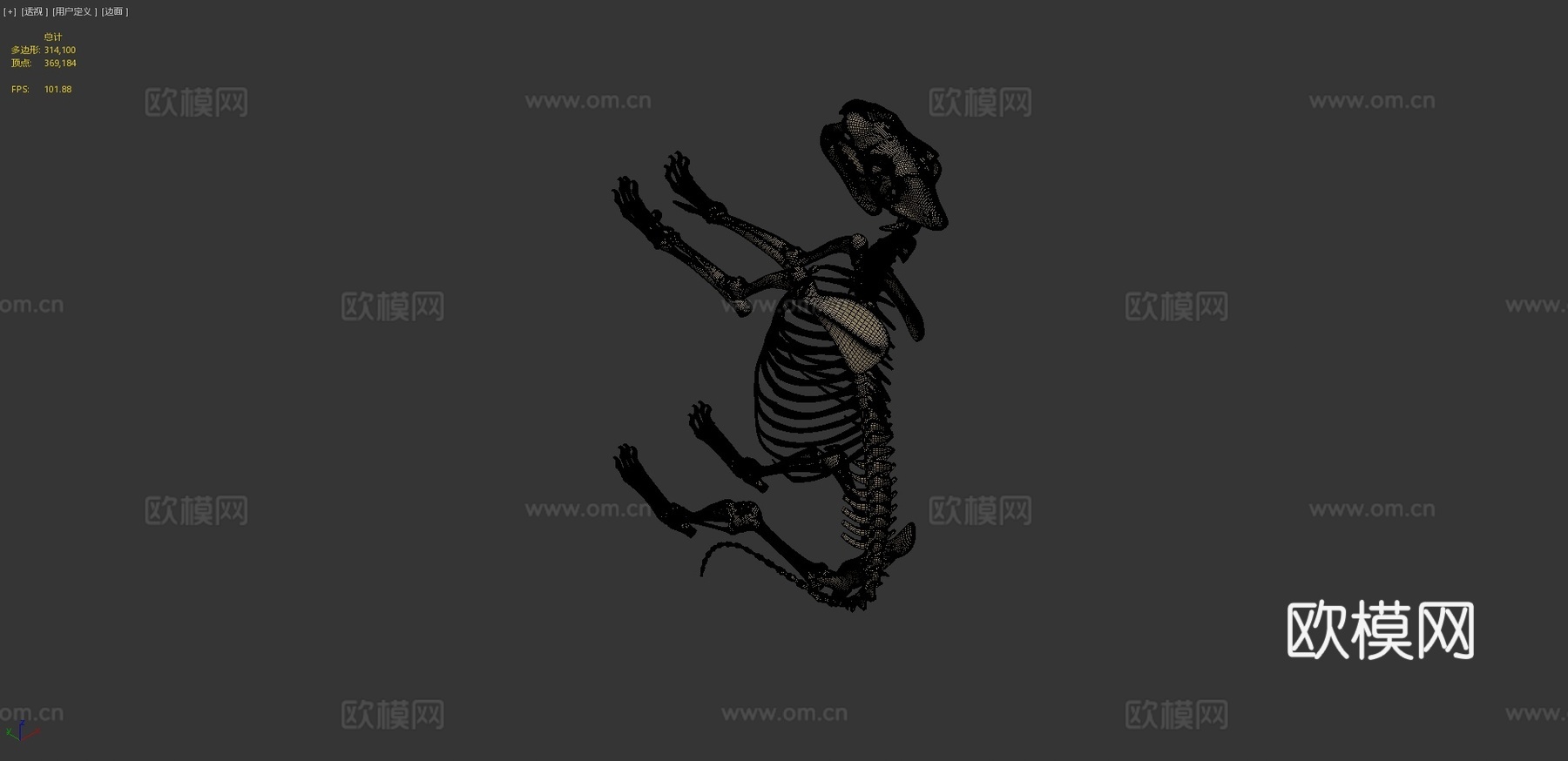 狮子骨骼3d模型3d模型