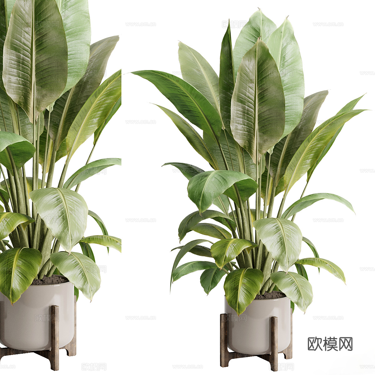 花瓶花卉3d模型