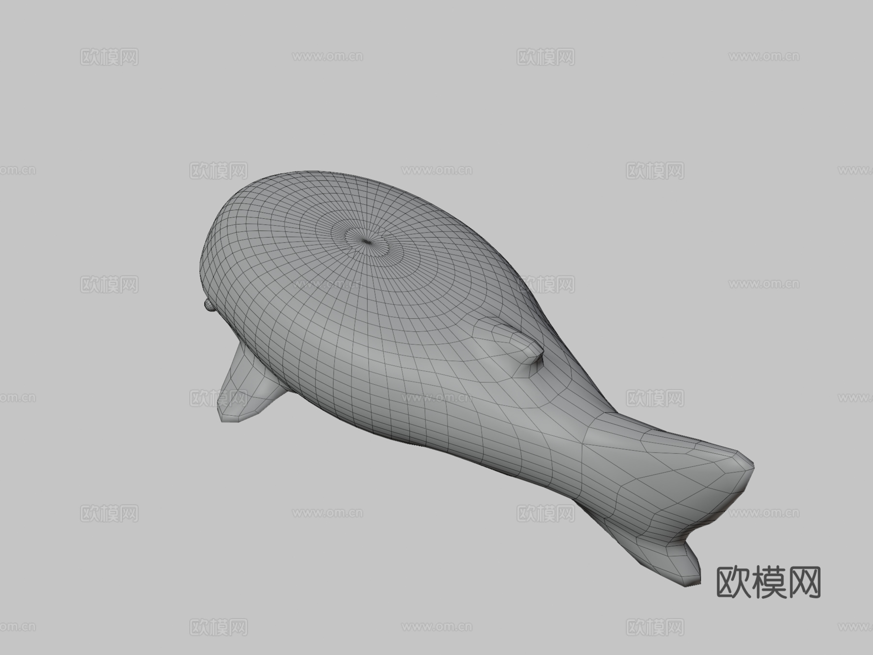 鲸鲨3d模型