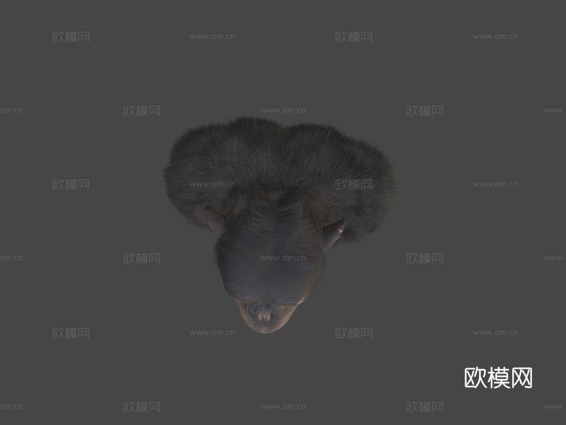 黑猩猩3d模型