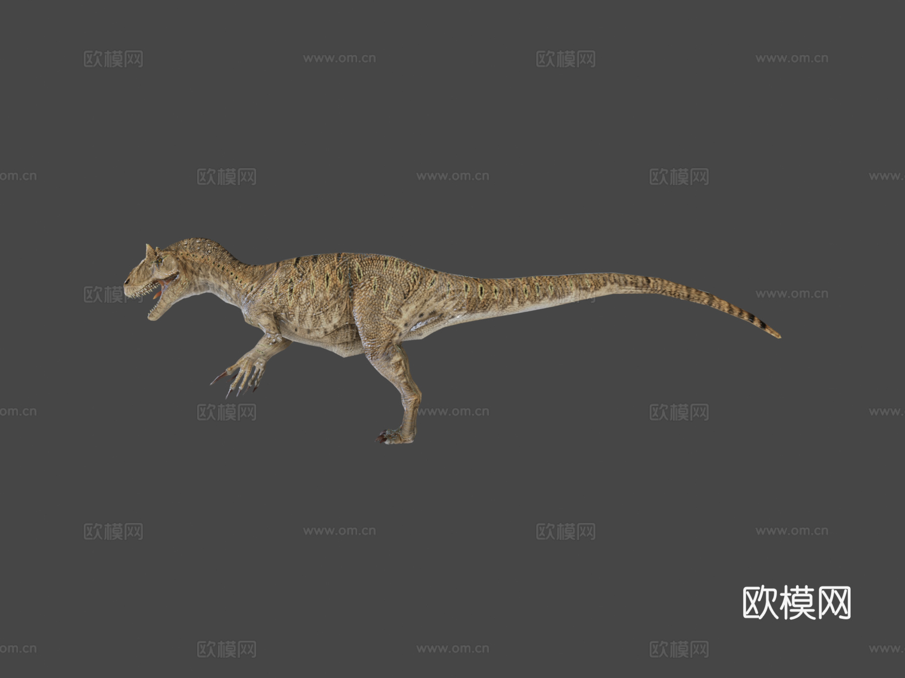 脆弱异特龙3d模型