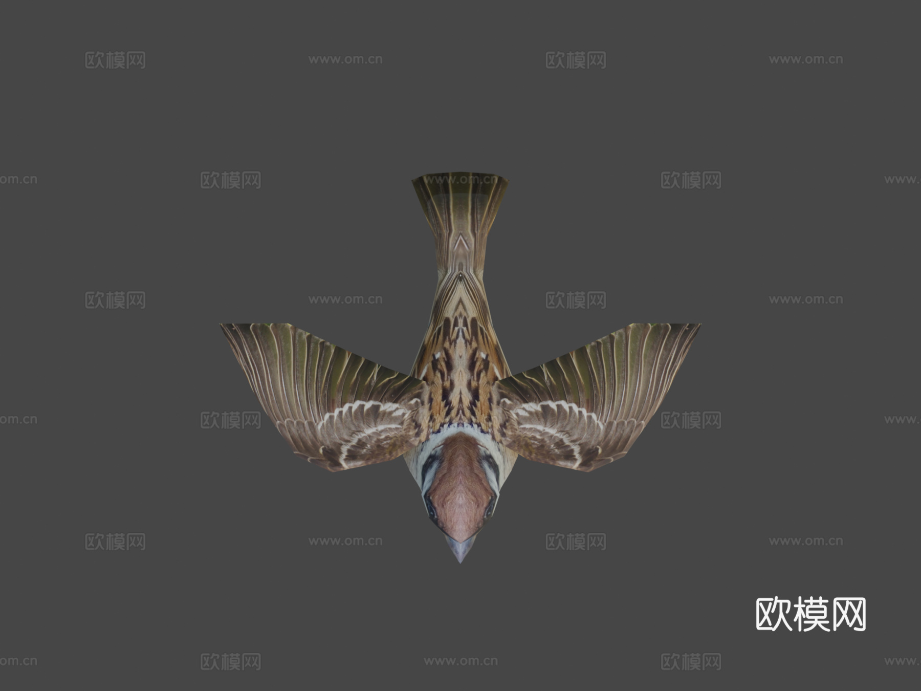 DRT-鸟类与小动物-麻雀3d模型