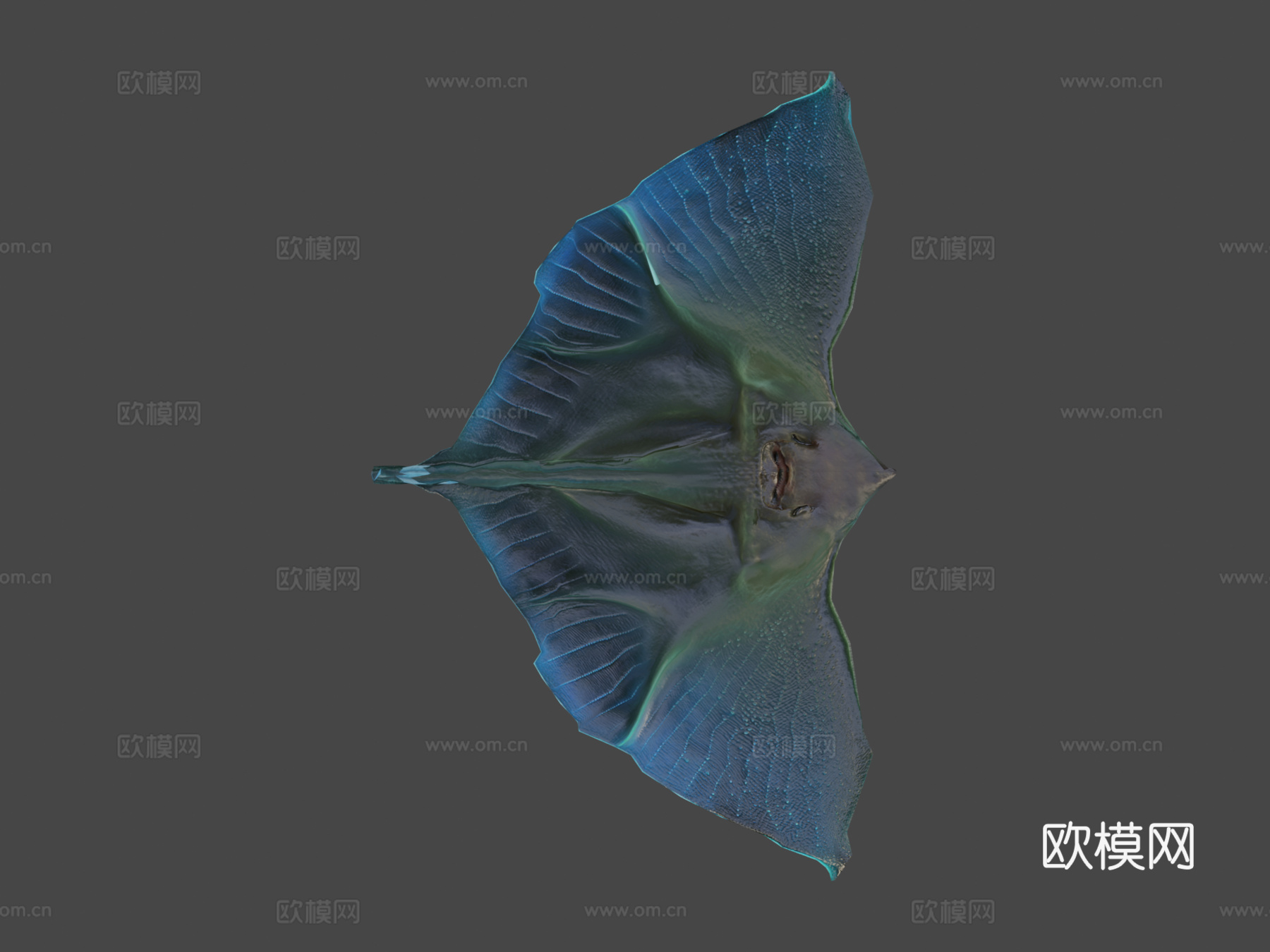外星幻想鱼-水母鳐-黄貂鱼3d模型