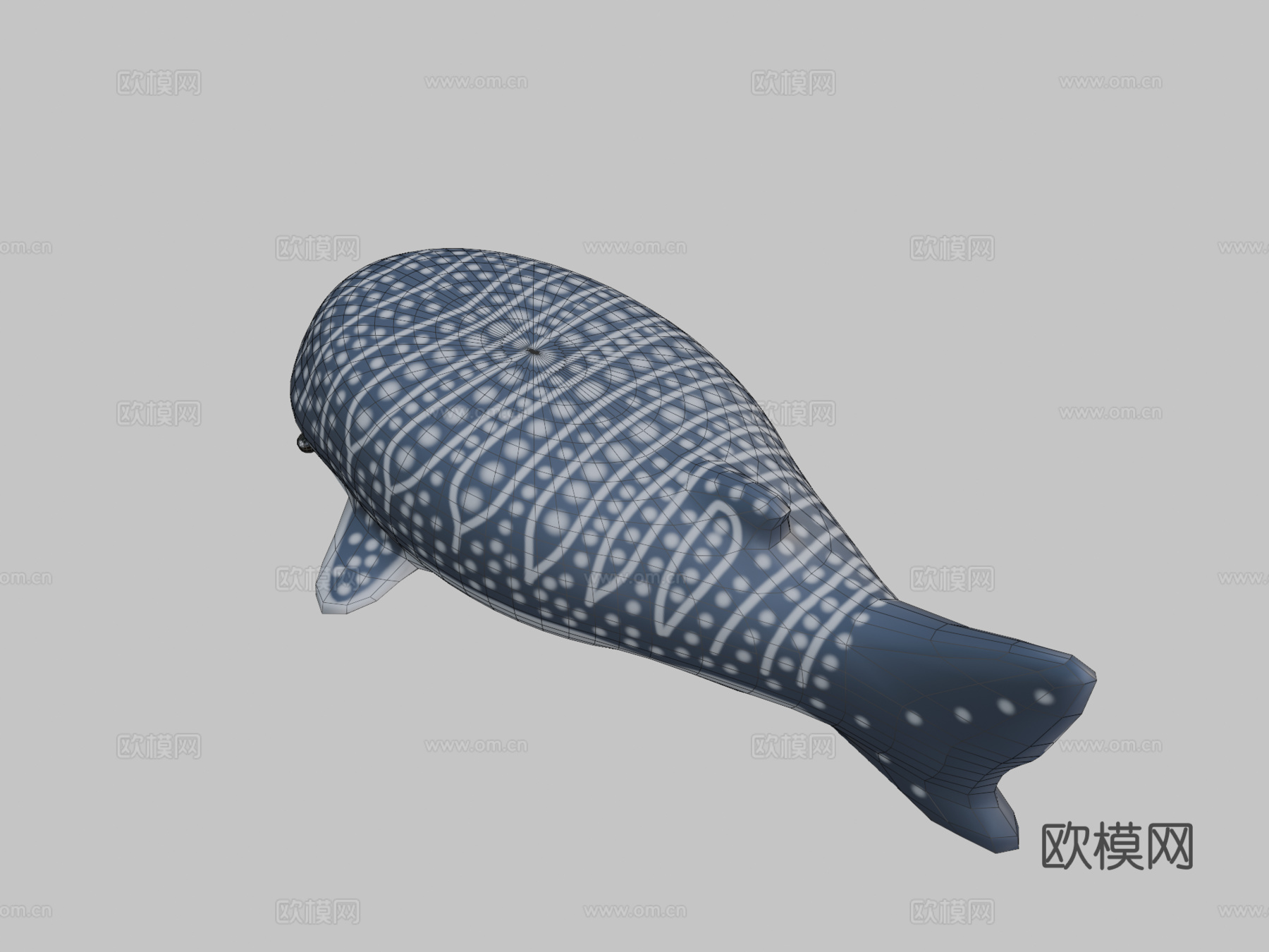 鲸鲨3d模型