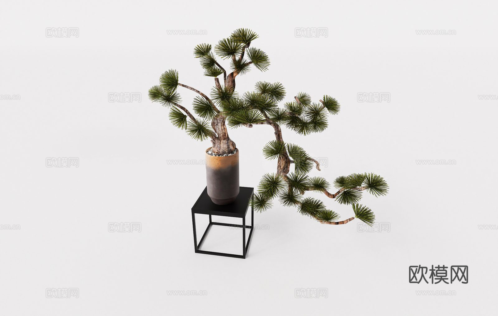 新中式迎客松 松树 绿植盆栽 花架su模型