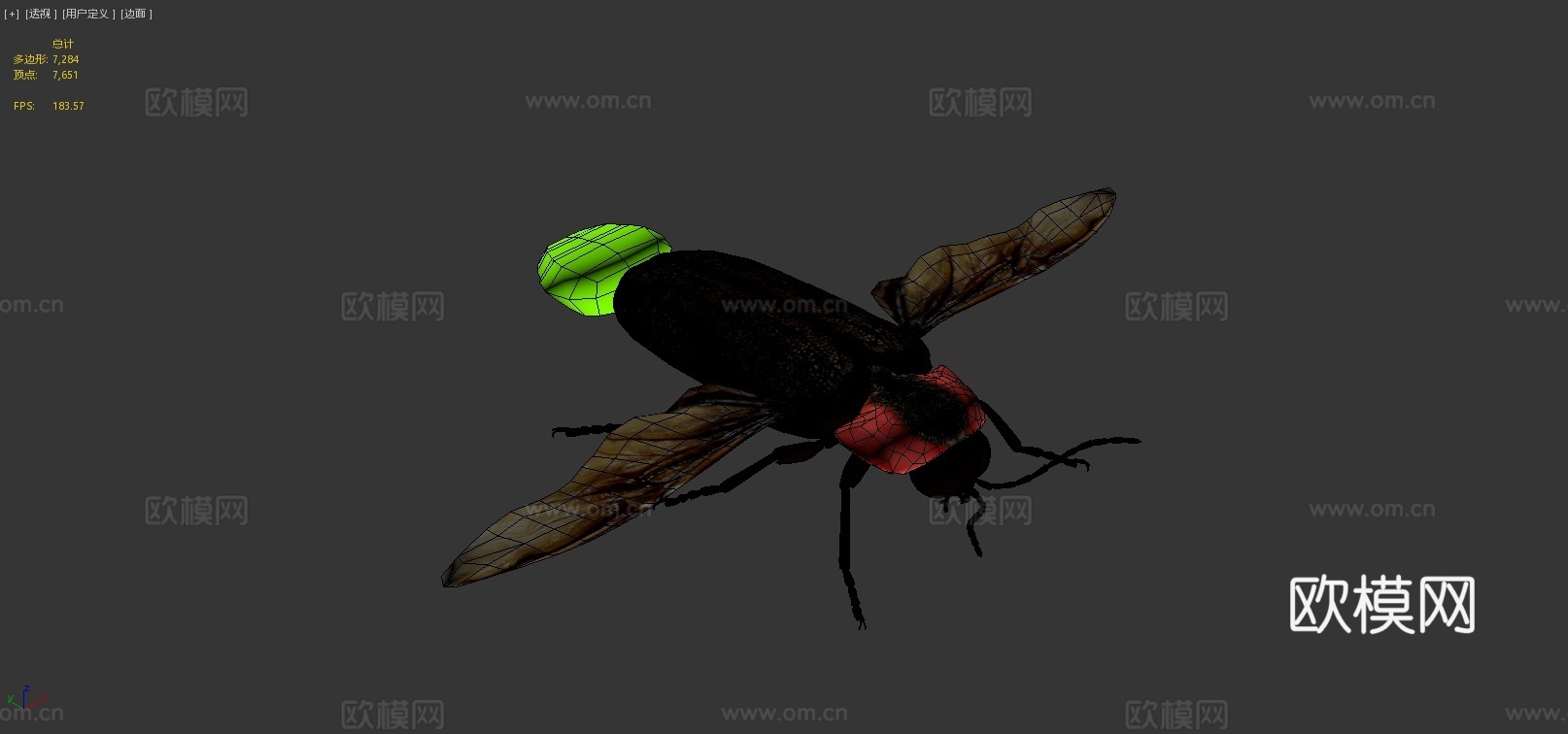 日本萤火虫3d模型