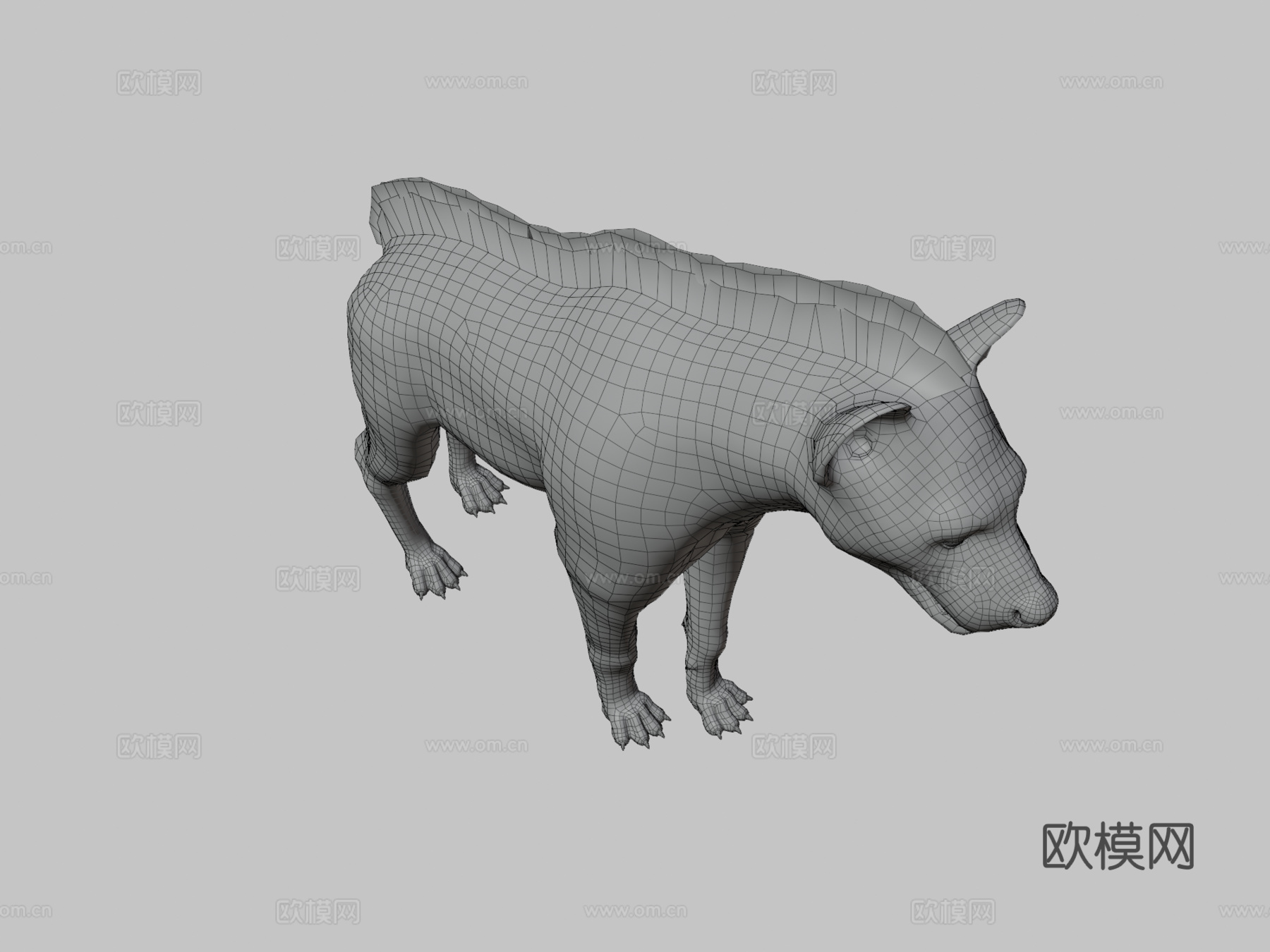 鬣狗3d模型
