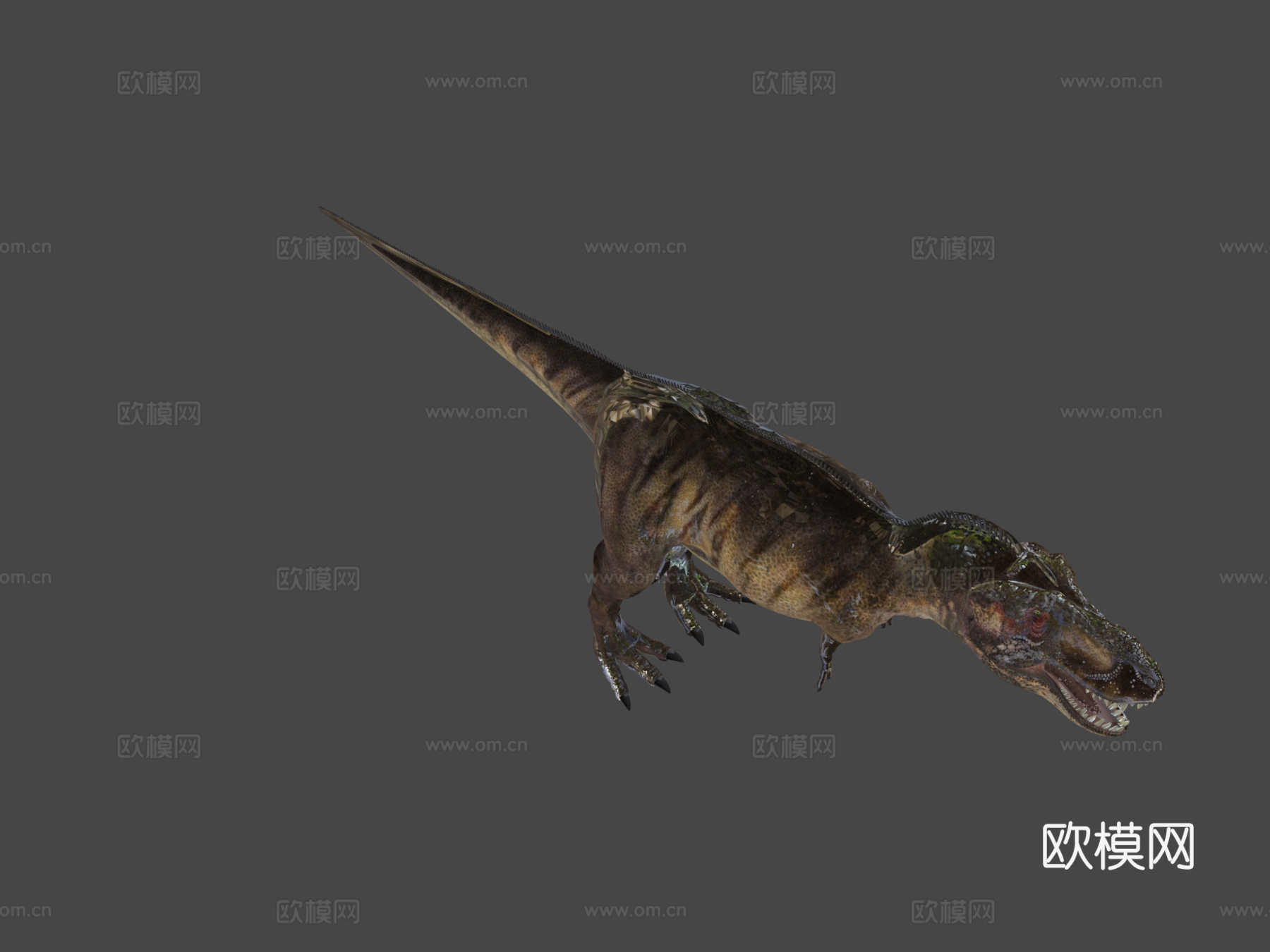 暴龙迪诺劳尔模型3d模型3d模型