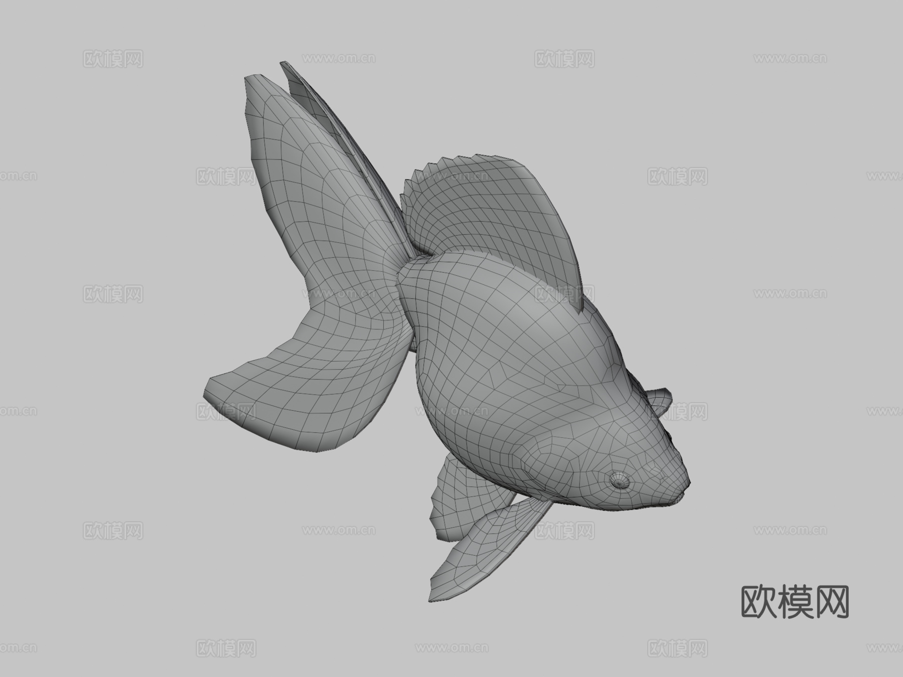 琉金金鱼3d模型