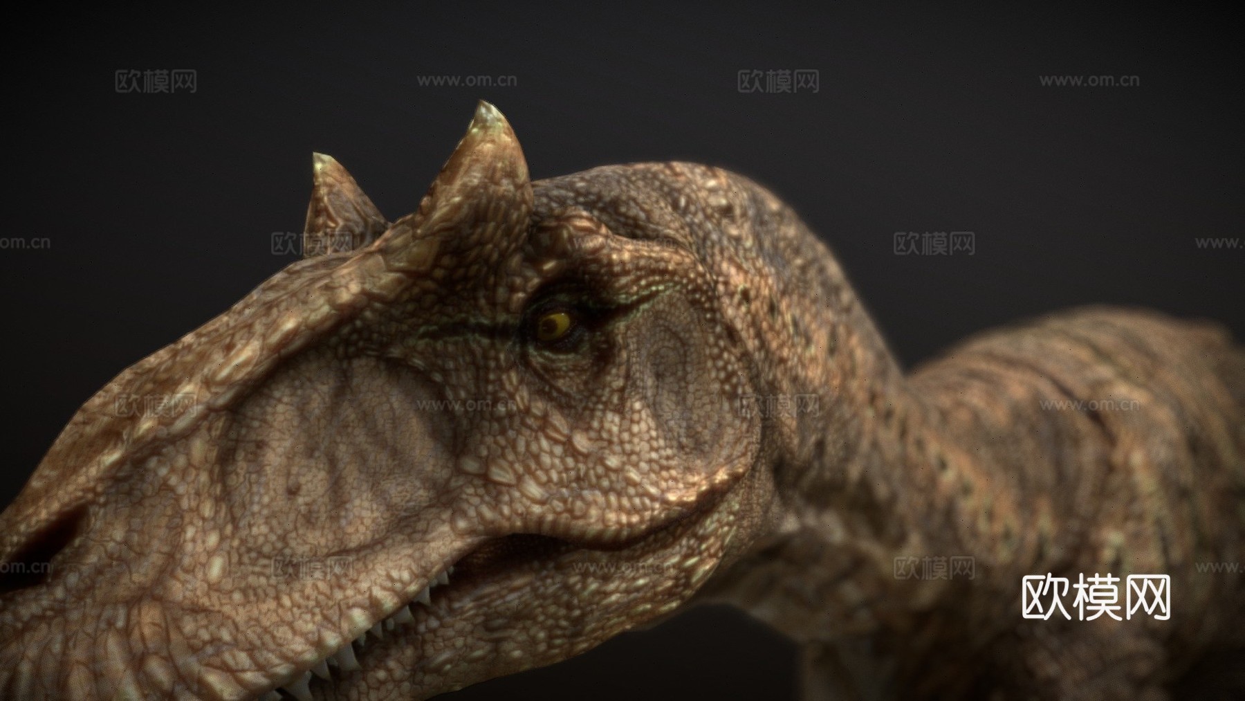 脆弱异特龙3d模型