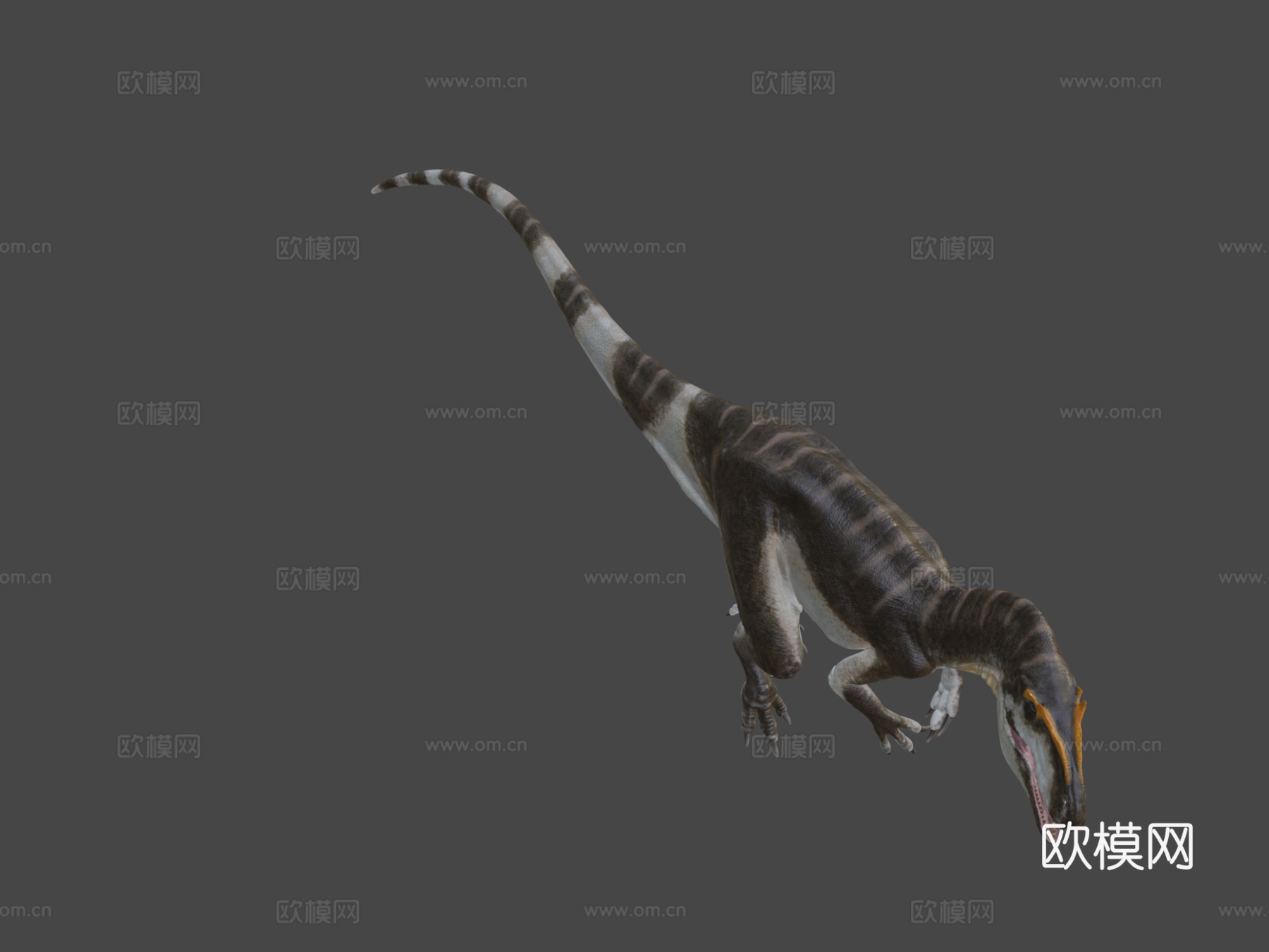 脆弱异特龙3d模型