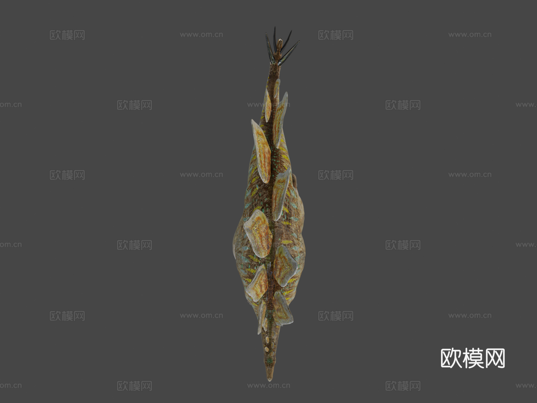 剑龙3d模型