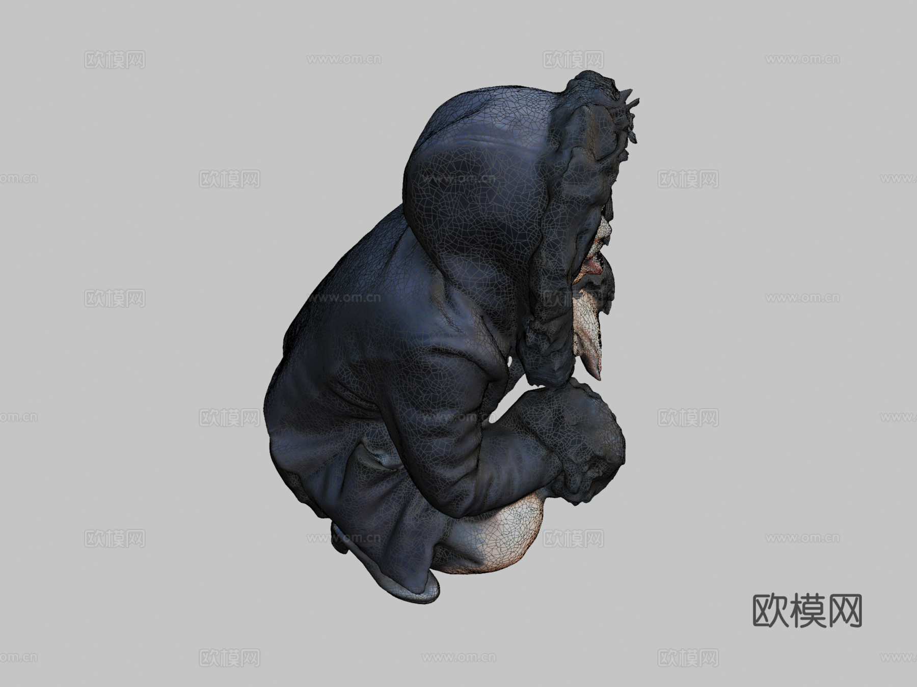 罂粟花舌3d模型