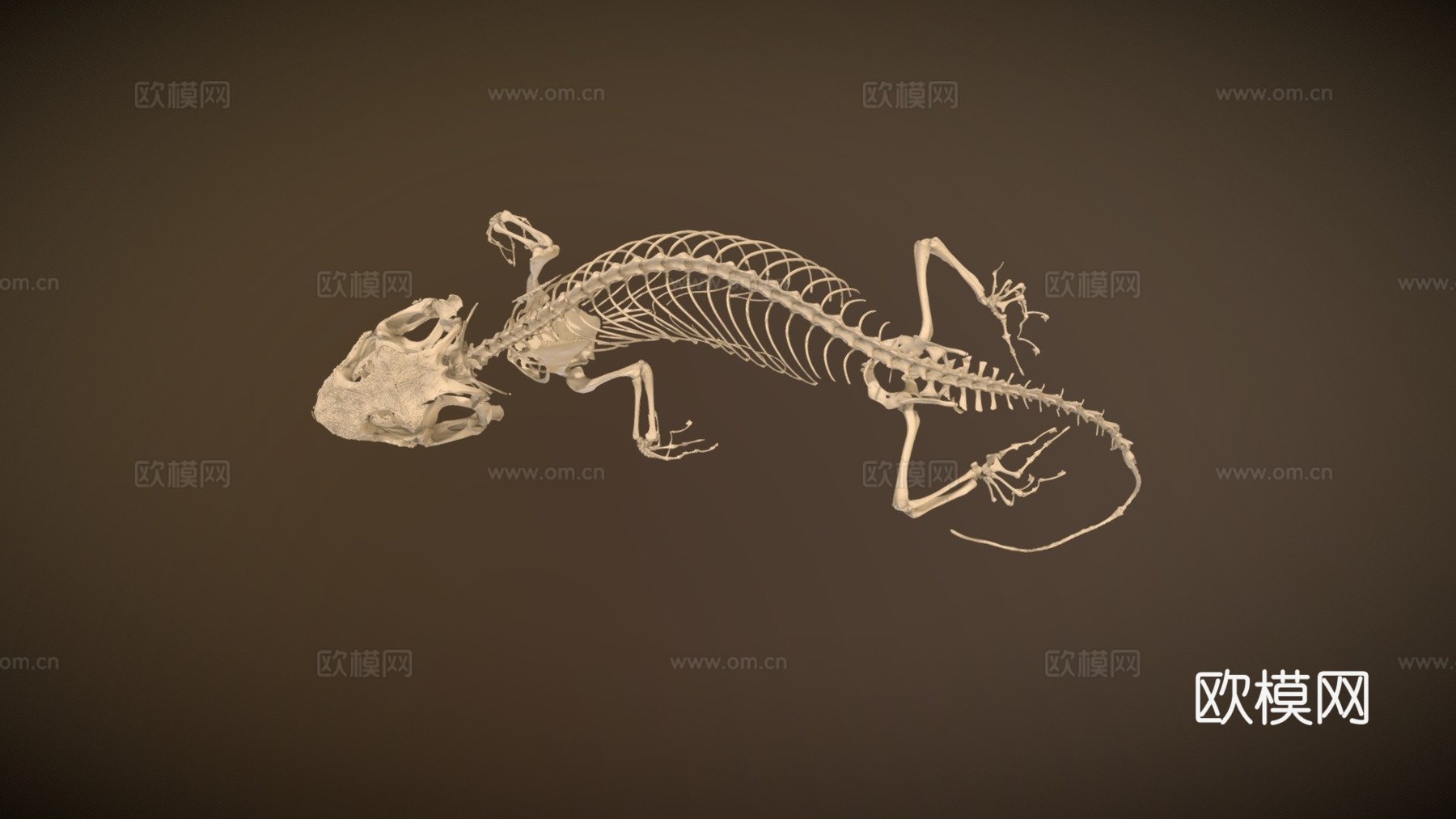 壁虎UF149933d模型