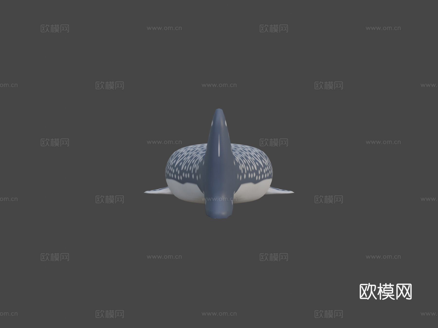 鲸鲨3d模型