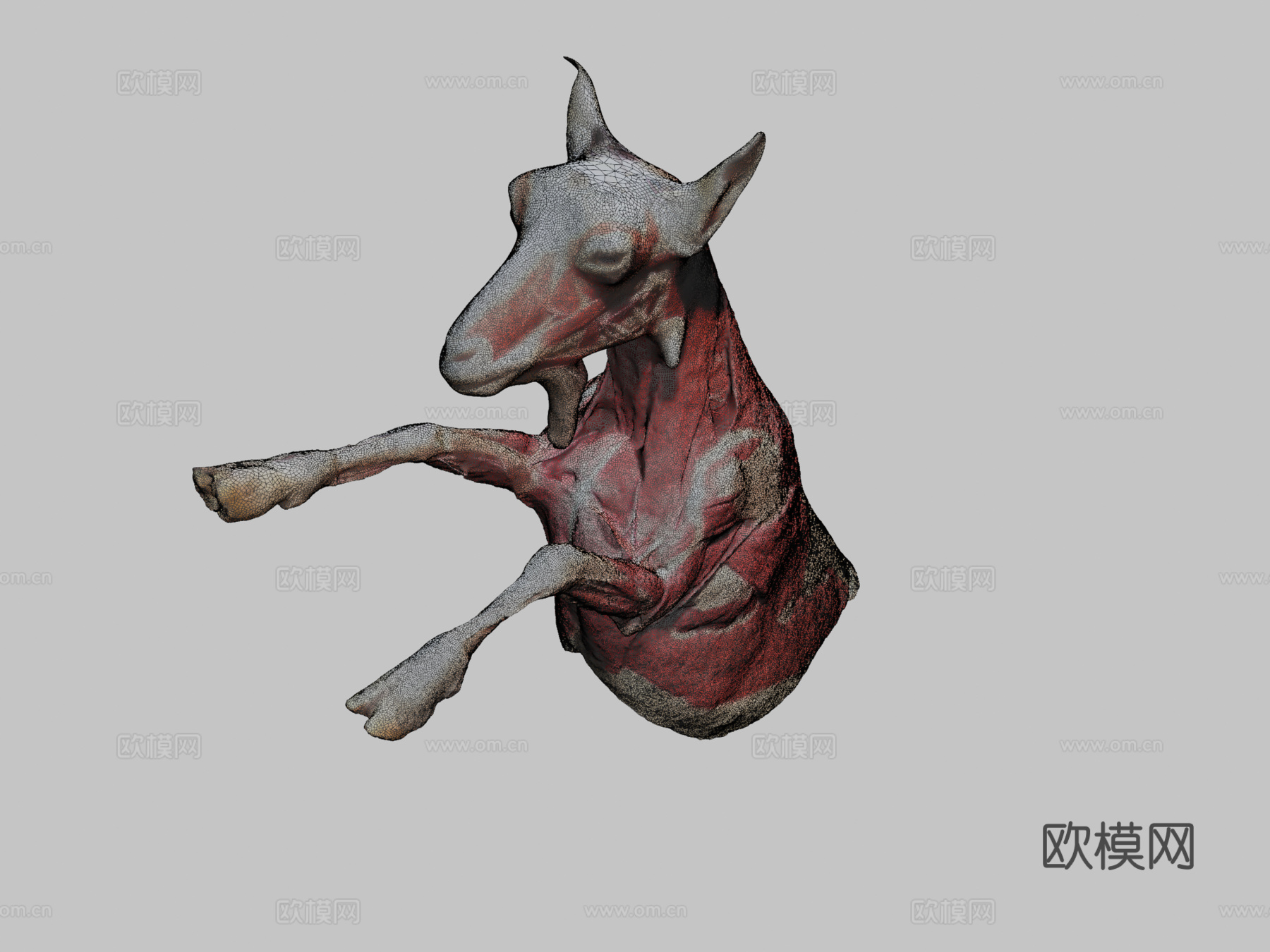 小山羊-肌肉3d模型