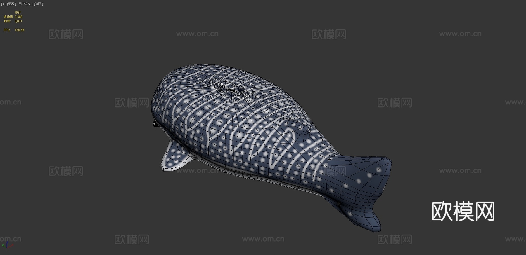 鲸鲨3d模型