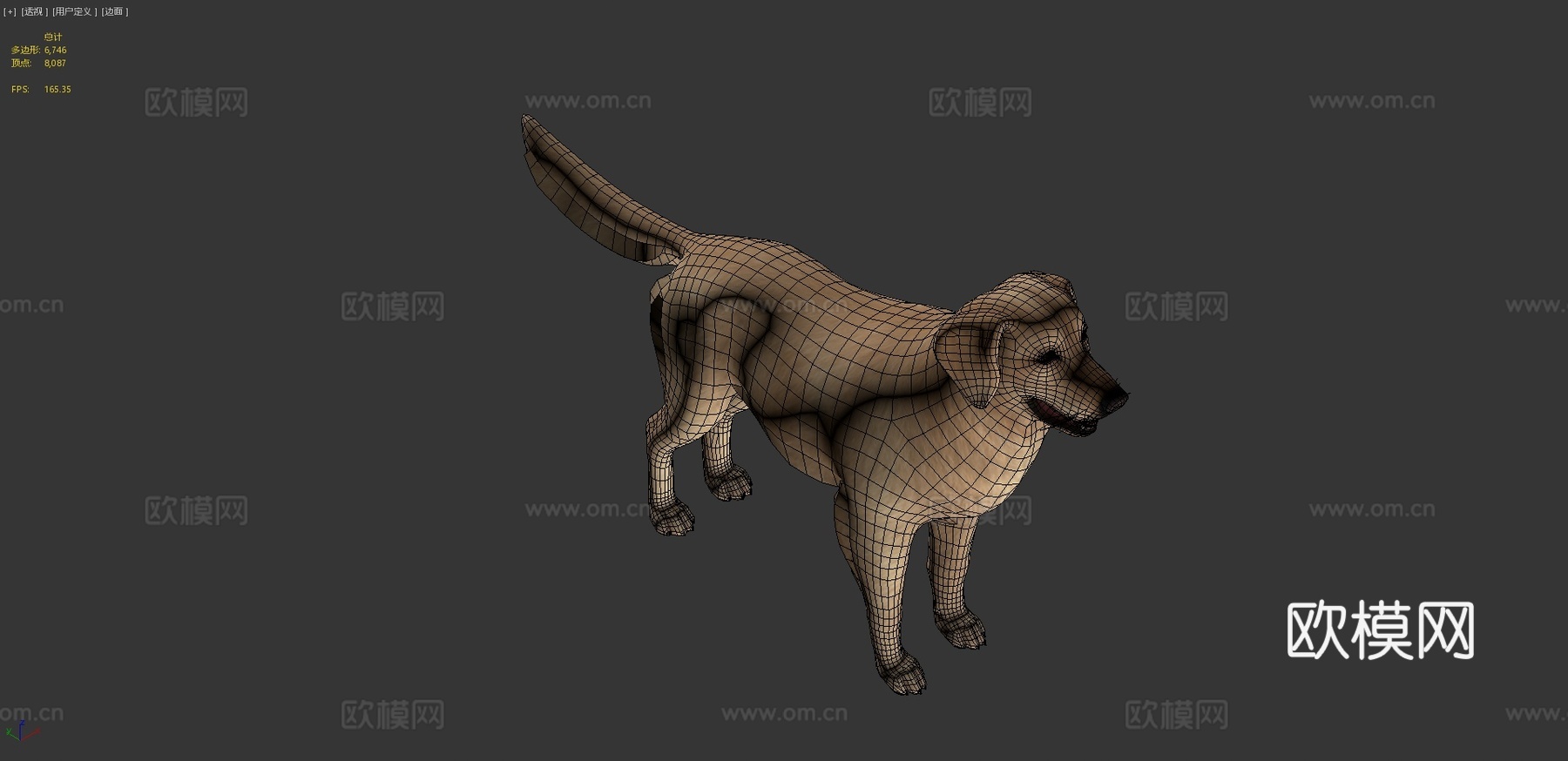 狗-金毛寻回犬v23d模型